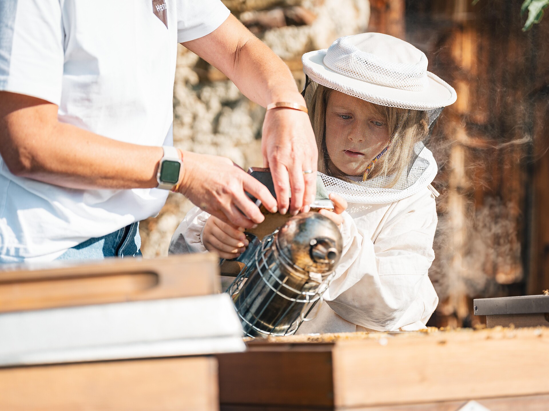 Bees: a queen and her people | stroll to the beehive - Dolomites Region Kronplatz/Plan de Corones - #3 - suedtirol.info