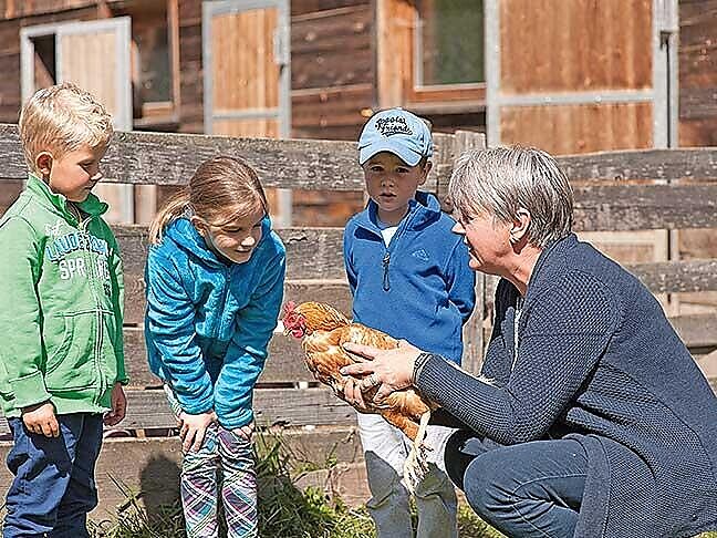 Experience farm life at the "Lechnerhof" - Dolomites Region 3 Zinnen - #1 - suedtirol.info
