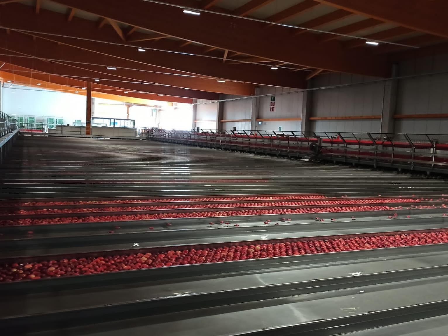 Besichtigung der Frubona Obstgenossenschaft Terlan - Südtiroler Weinstraße - #3 - suedtirol.info