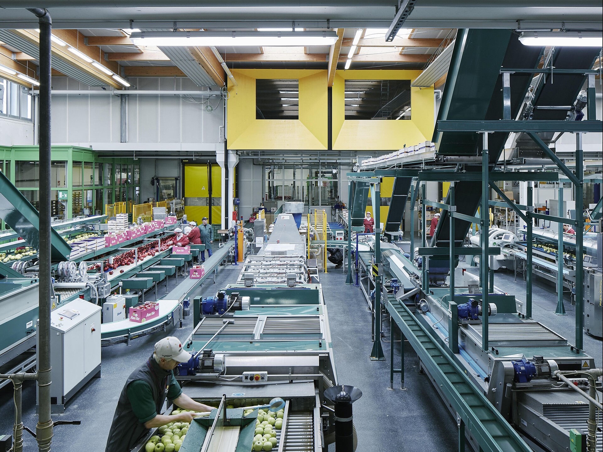 Besichtigung der Obstgenossenschaft Juval - Vinschgau - #3 - suedtirol.info