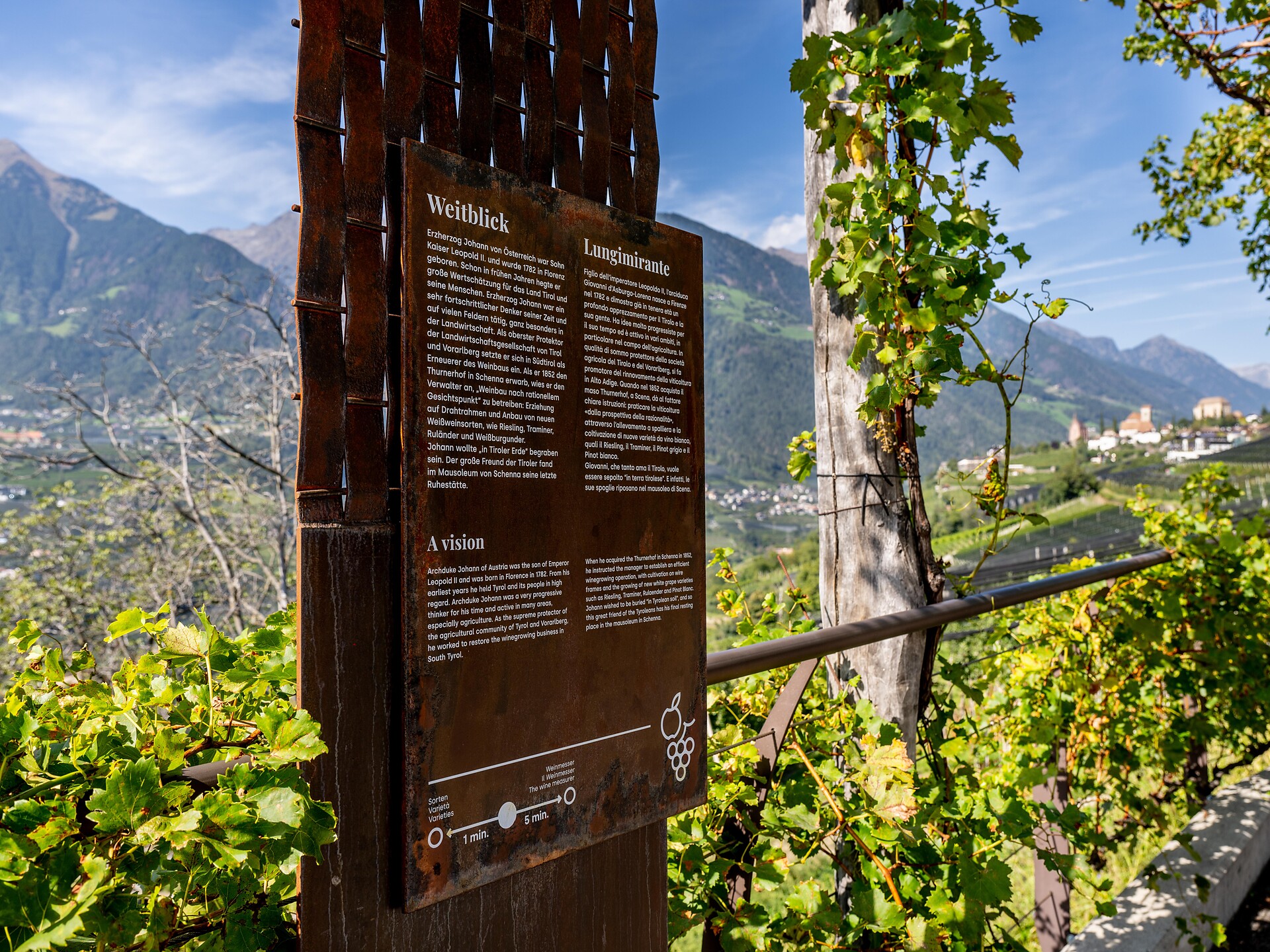 bacchus & pomina | Geführte Weinwanderung Schenna 2 suedtirol.info