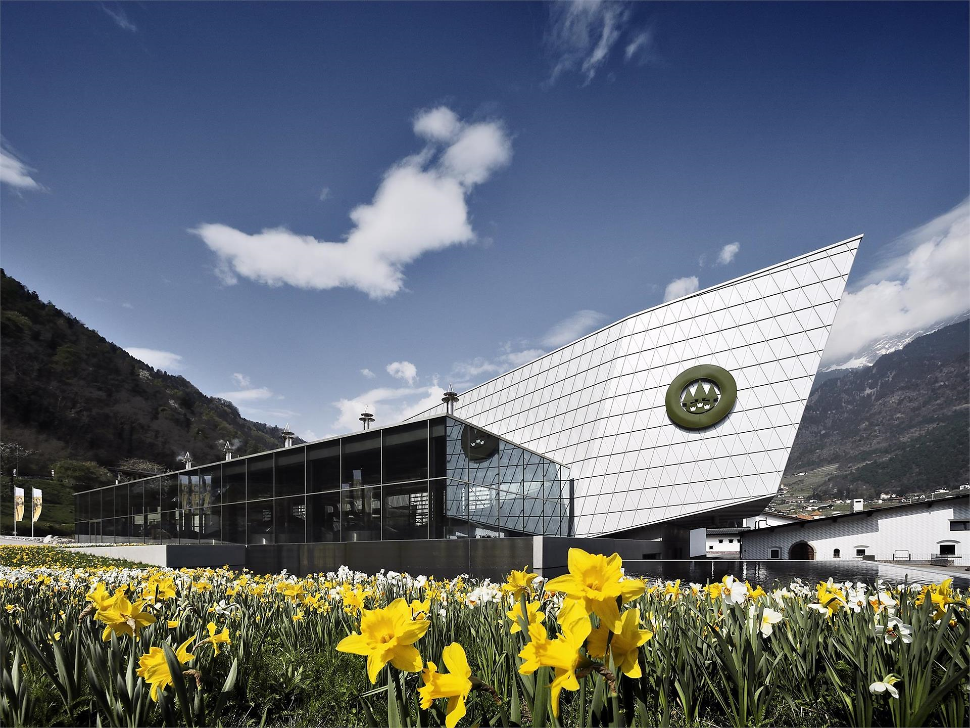 Brauereibesichtigung der Spezialbierbrauerei Forst - Meran und Umgebung - #1 - suedtirol.info