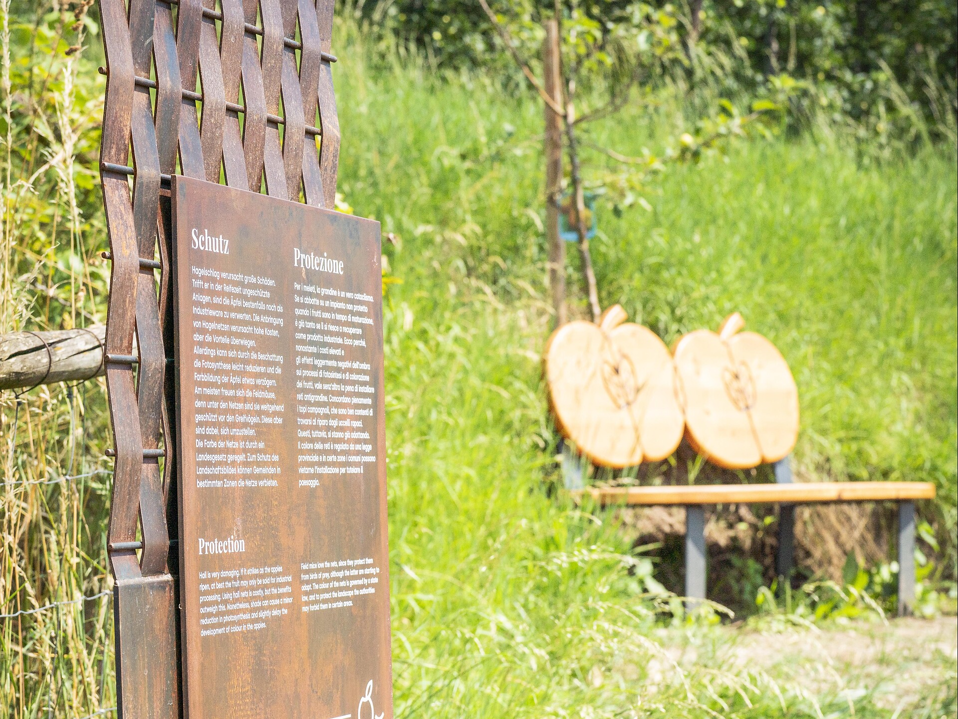 bacchus & pomina | Geführte Apfelwanderung mit Verkostung Schenna 2 suedtirol.info
