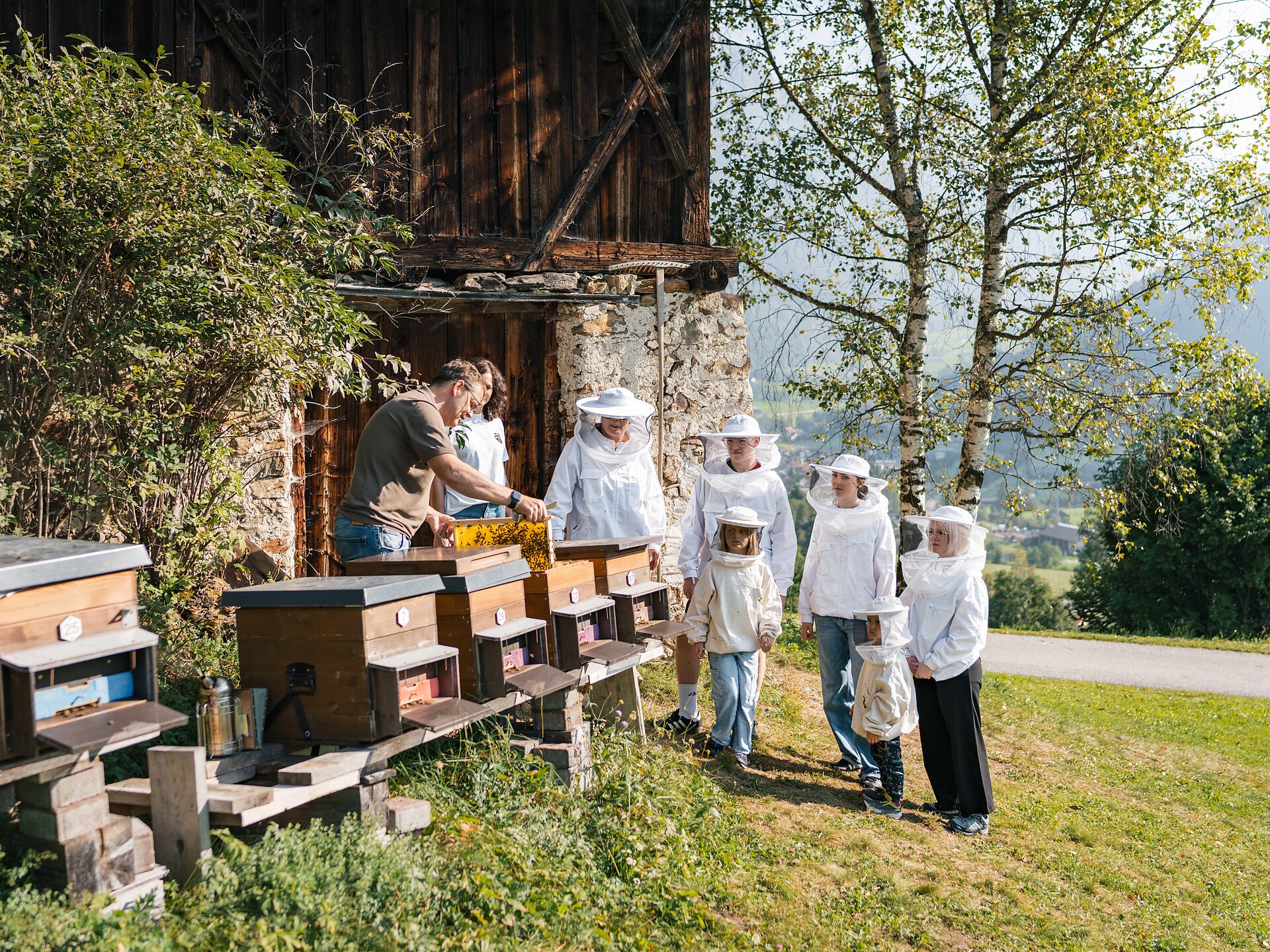 Bees: a queen and her people | stroll to the beehive Rasen-Antholz/Rasun Anterselva 1 suedtirol.info