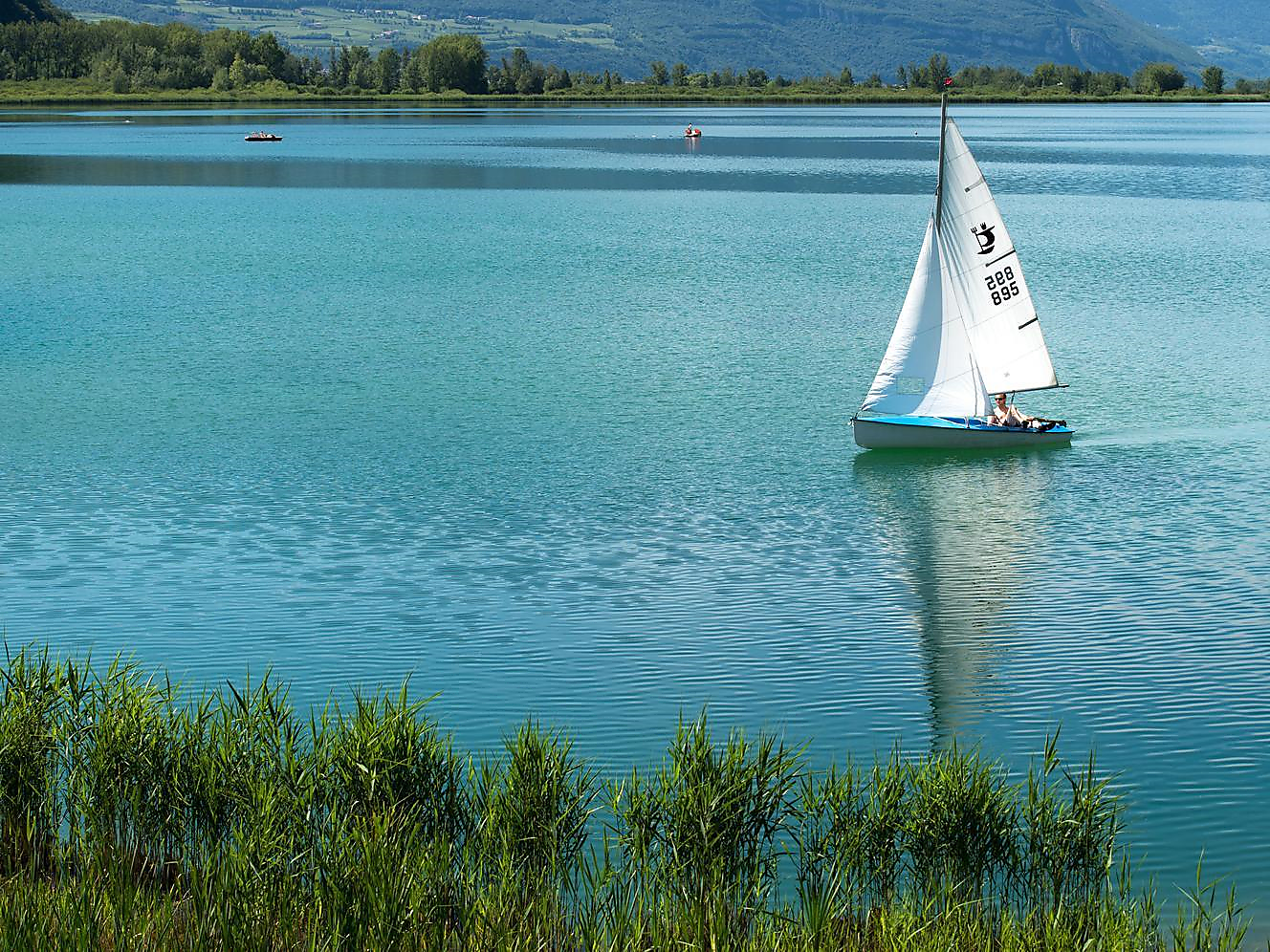 Regate veliche "Baron Dürfeld Regatta" Caldaro sulla Strada del Vino 2 suedtirol.info