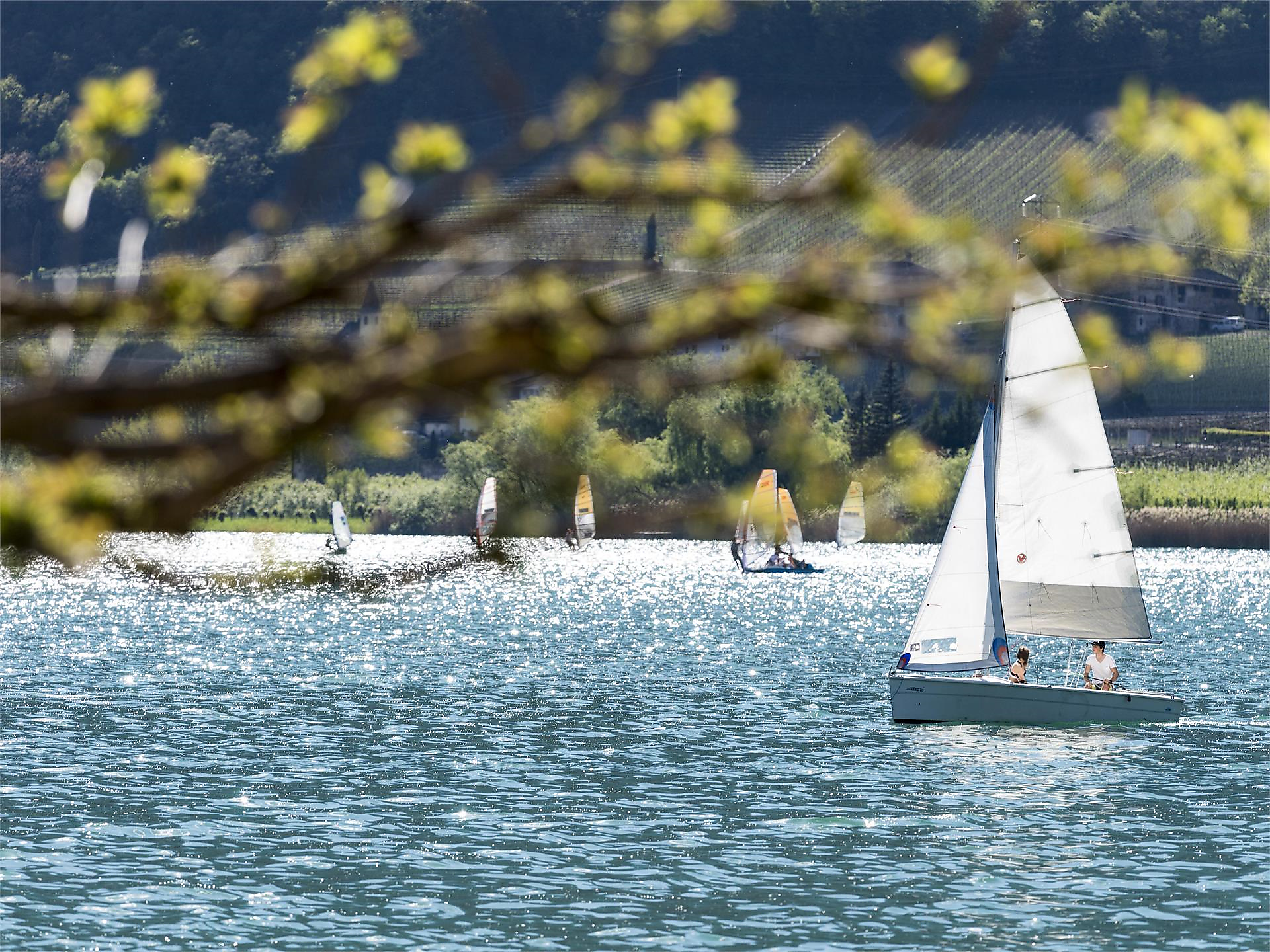 Regate veliche "Baron Dürfeld Regatta" Caldaro sulla Strada del Vino 1 suedtirol.info