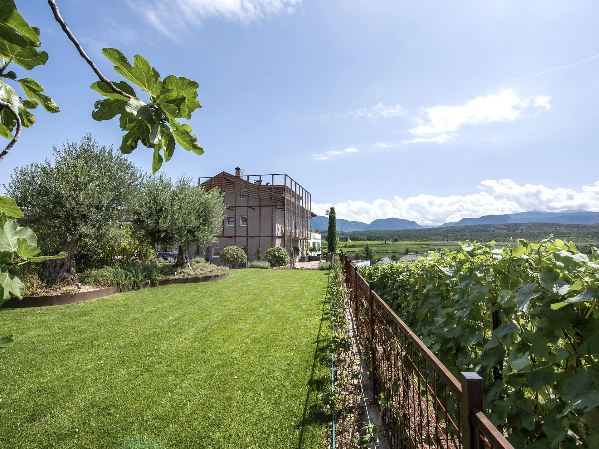 Balsamico-Verkostung in der Genussmanufaktur Walcher - Südtiroler Weinstraße - #2 - suedtirol.info