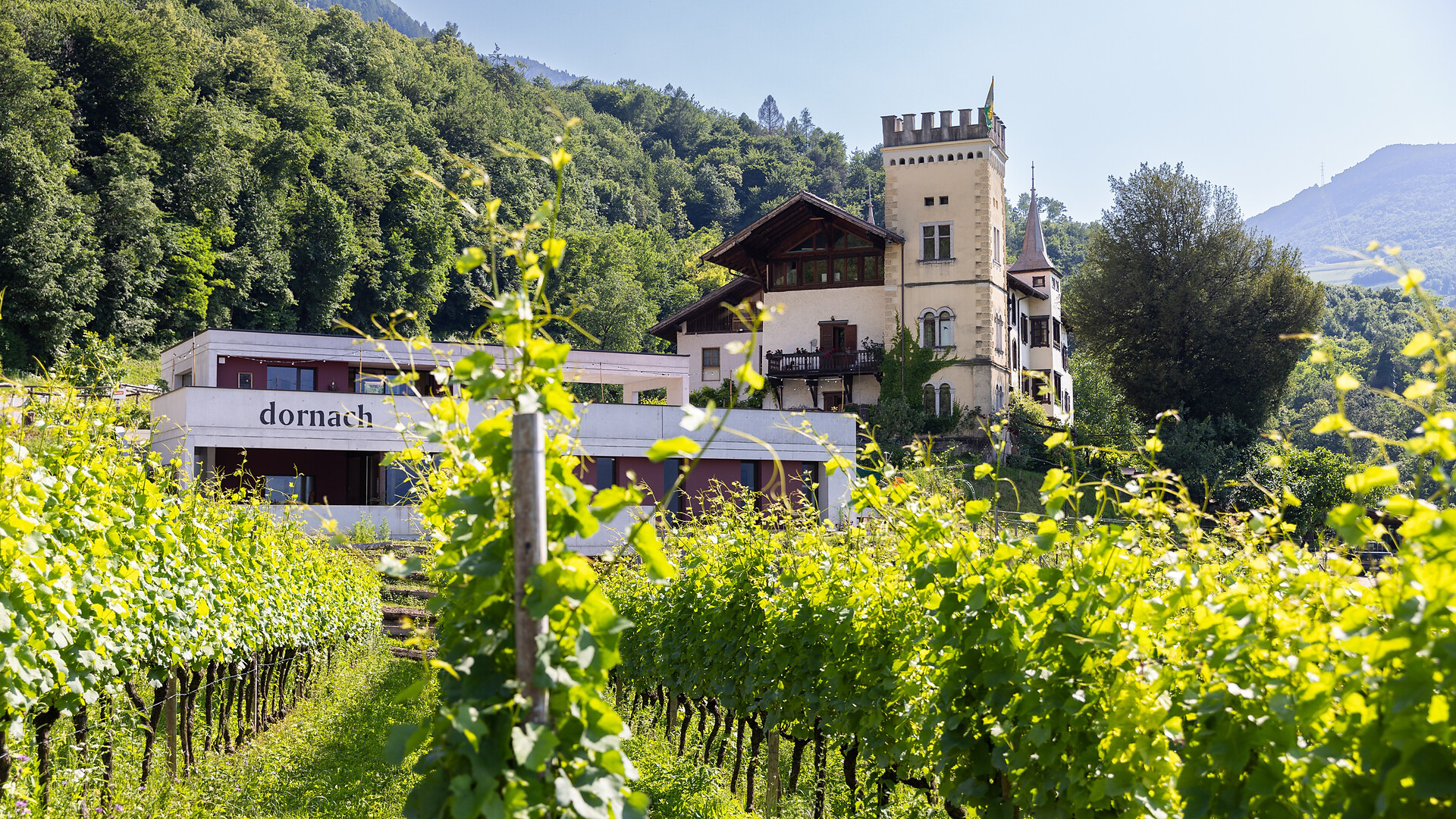 Mercatino di Natale contadino nella tenuta Dornach - Strada del Vino - #1 - suedtirol.info