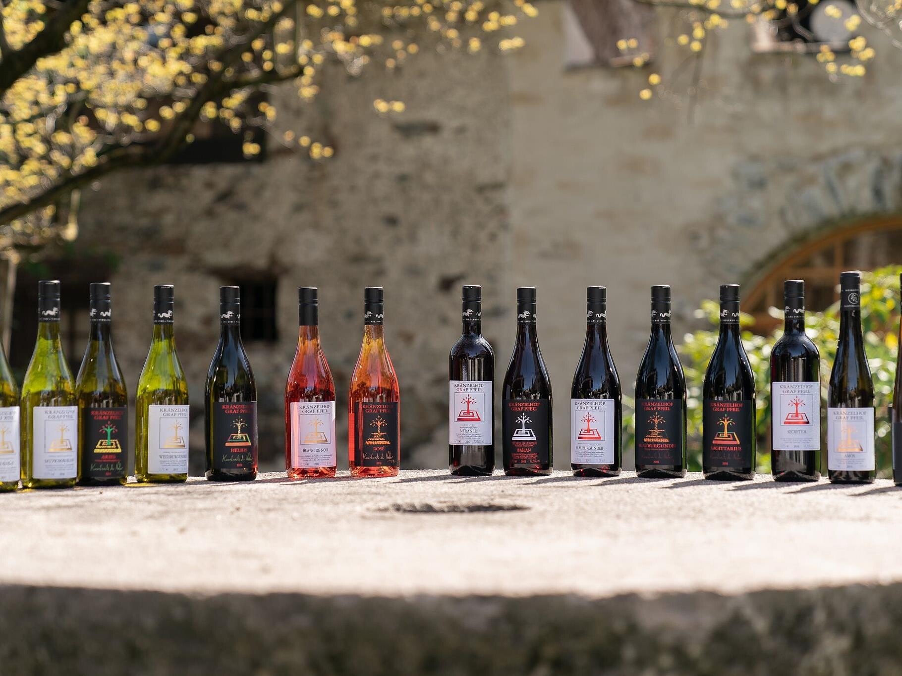 Degustazione alla cieca settimanale - Merano e dintorni - #2 - suedtirol.info