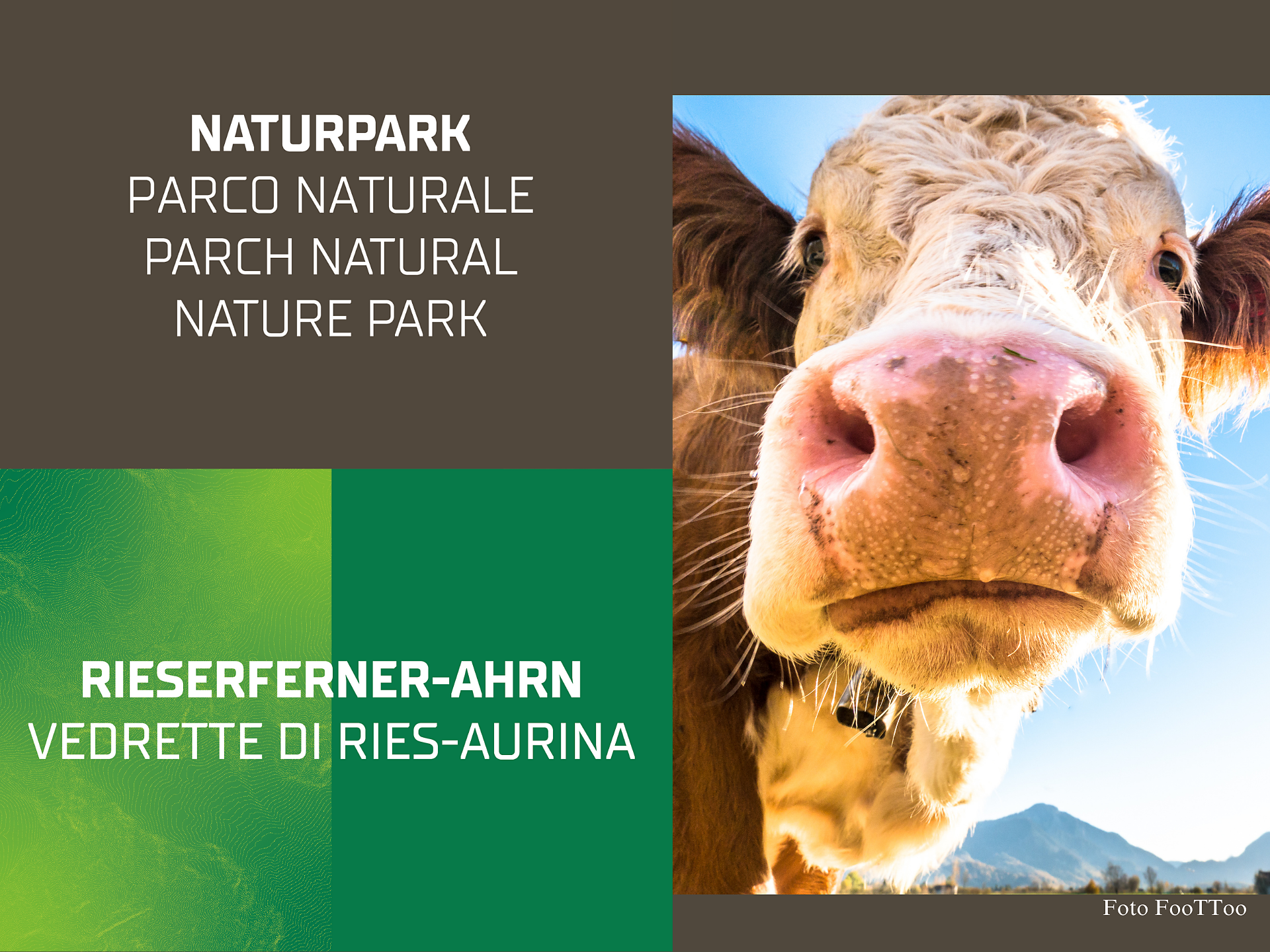 Prati fioriti  | Escursione - Valle Aurina - #1 - suedtirol.info