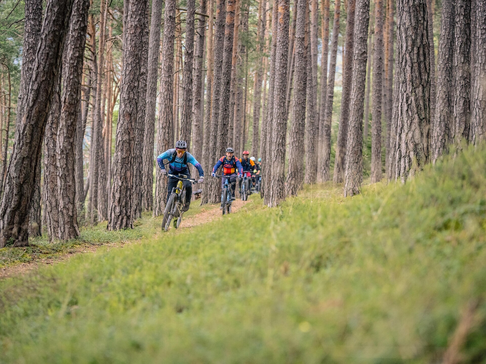 Autunno in bici: Bressanone e dintorni - Bressanone e dintorni - #1 - suedtirol.info