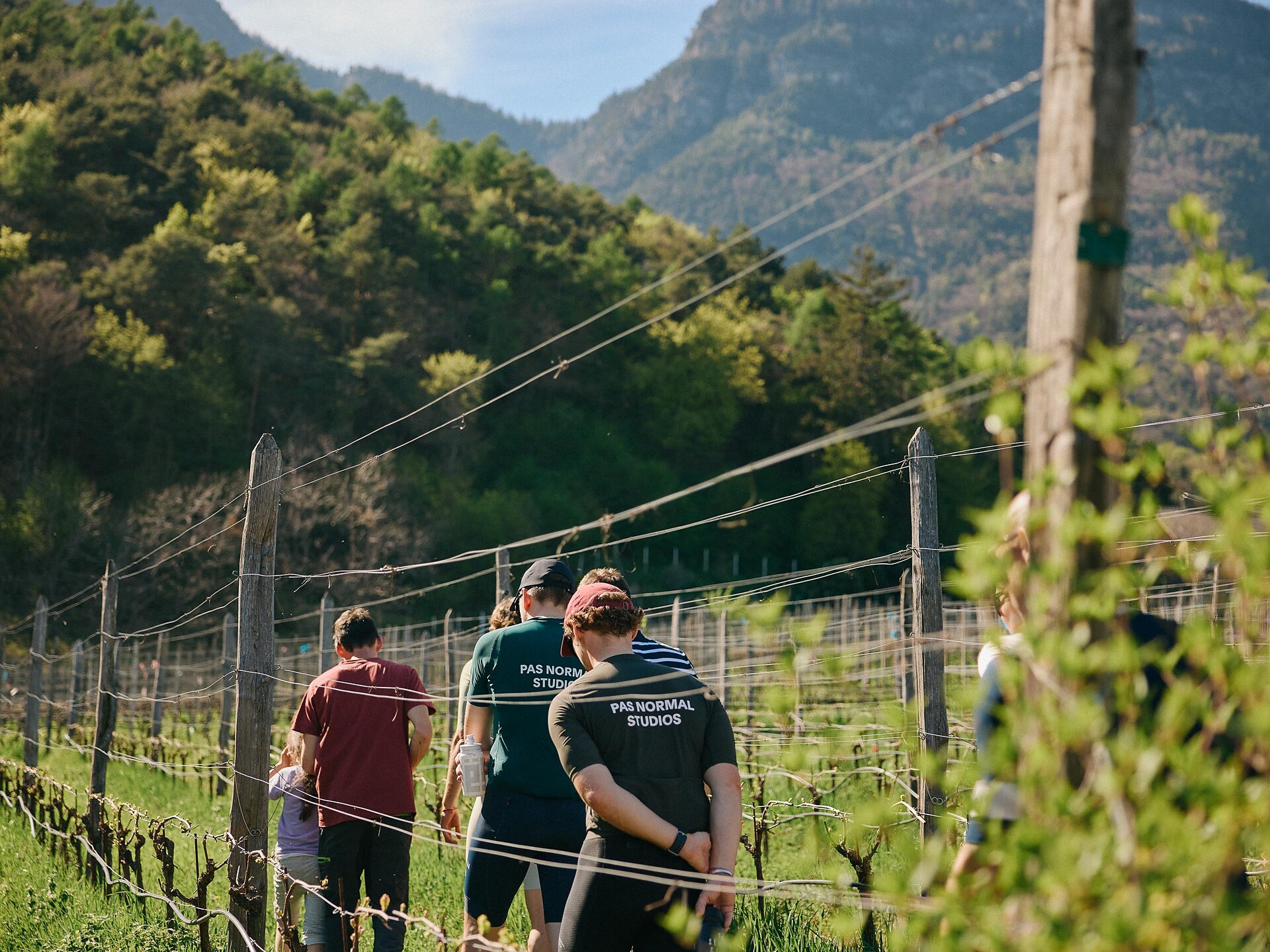 Experience biodiversity & terroir Eppan an der Weinstaße/Appiano sulla Strada del Vino 1 suedtirol.info