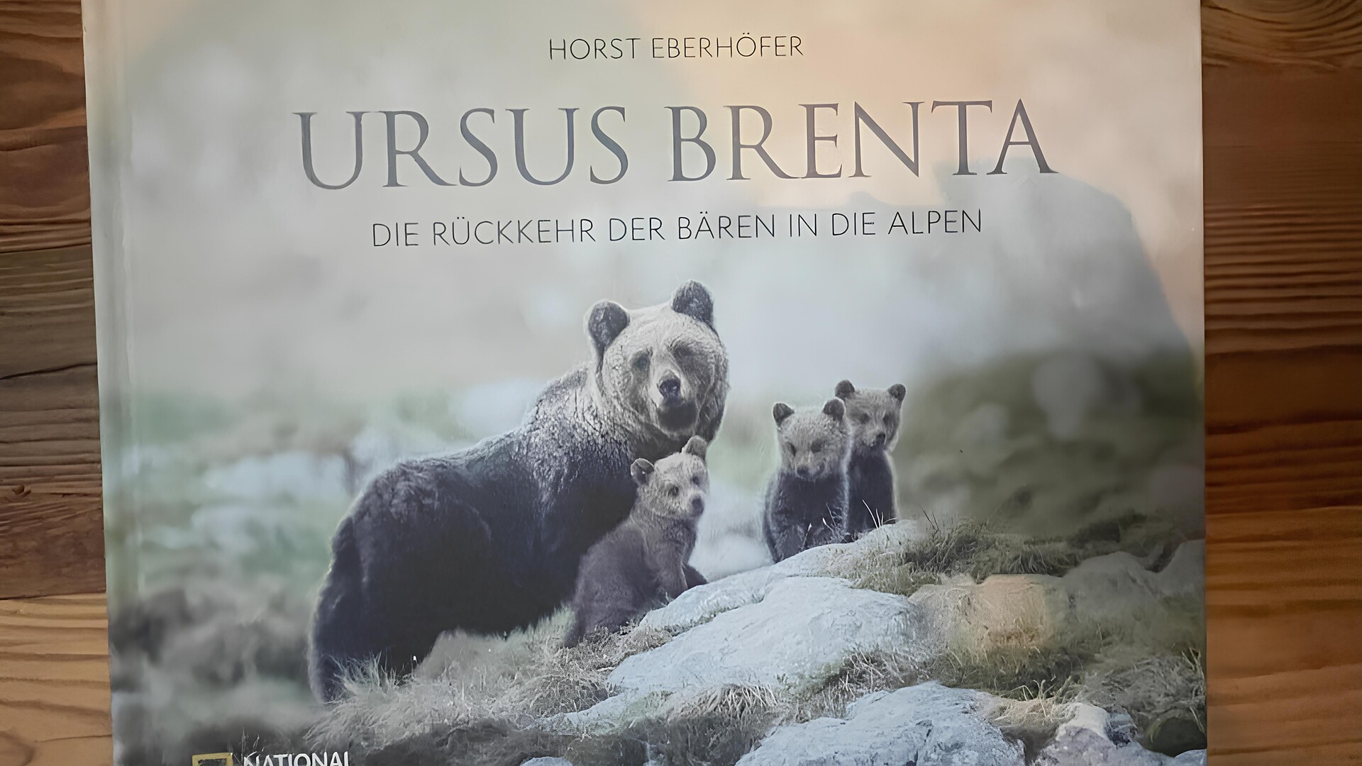 Buchvorstelltung: Ursus Brenta – Die Rückkehr der Bären in die Alpen - Vinschgau - #1 - suedtirol.info