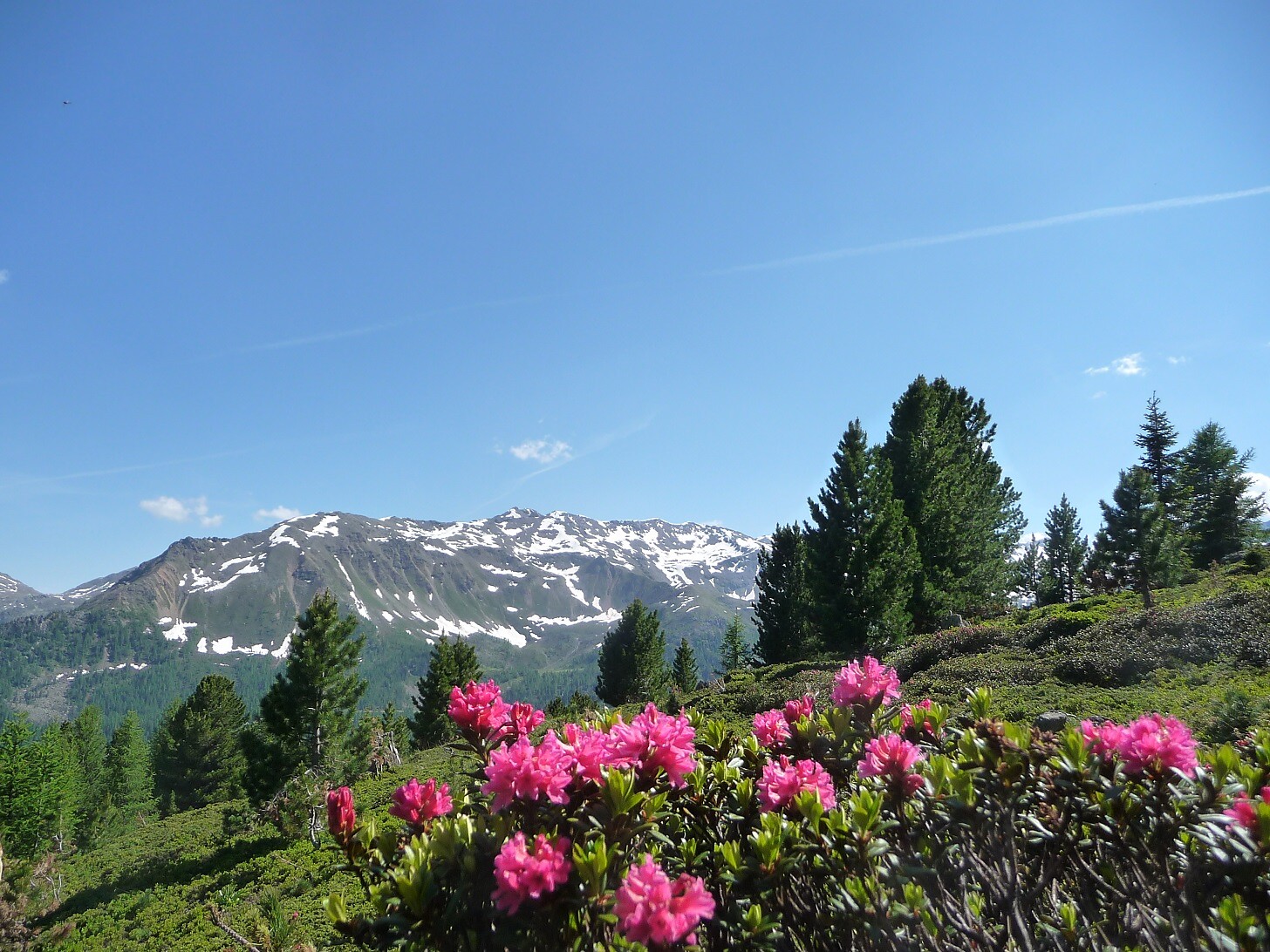Alpine forests and mystical huts Ulten/Ultimo 2 suedtirol.info