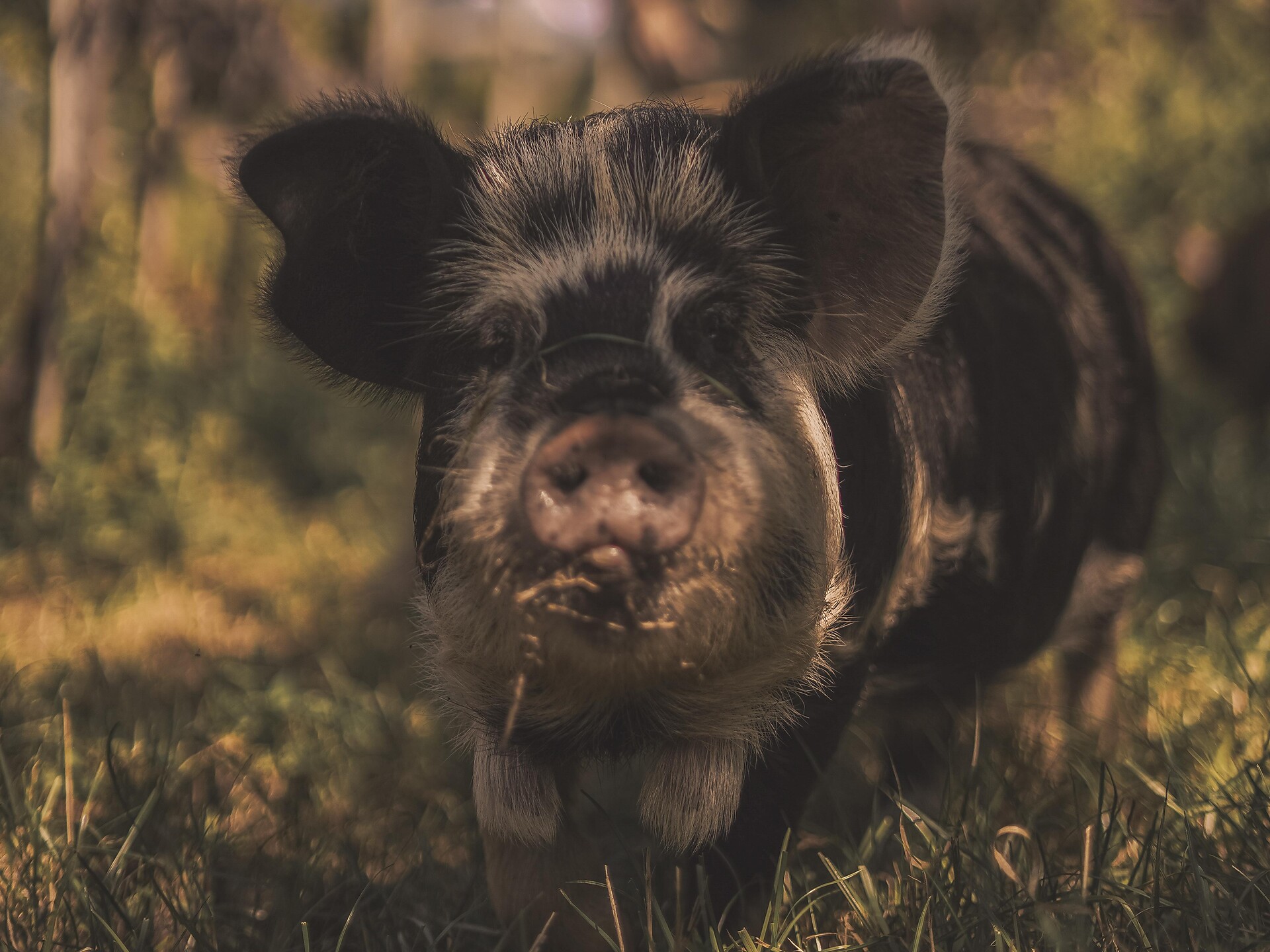 Baron Longo – Vivere vino, storia e terroir con tutti i sensi - Strada del Vino - #2 - suedtirol.info