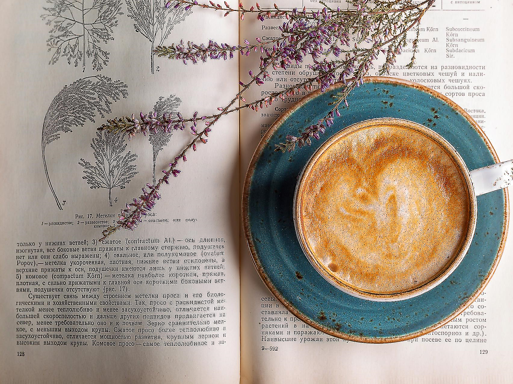 Caffè letterario - Sterzing und Umgebung - #1 - suedtirol.info