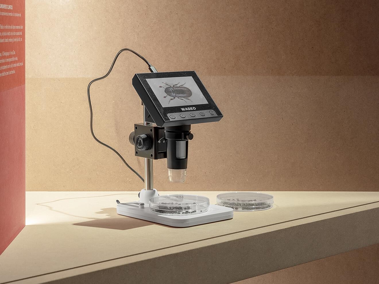 Countdown to mass extinction? - Dolomitenregion Seiser Alm - #3 - suedtirol.info