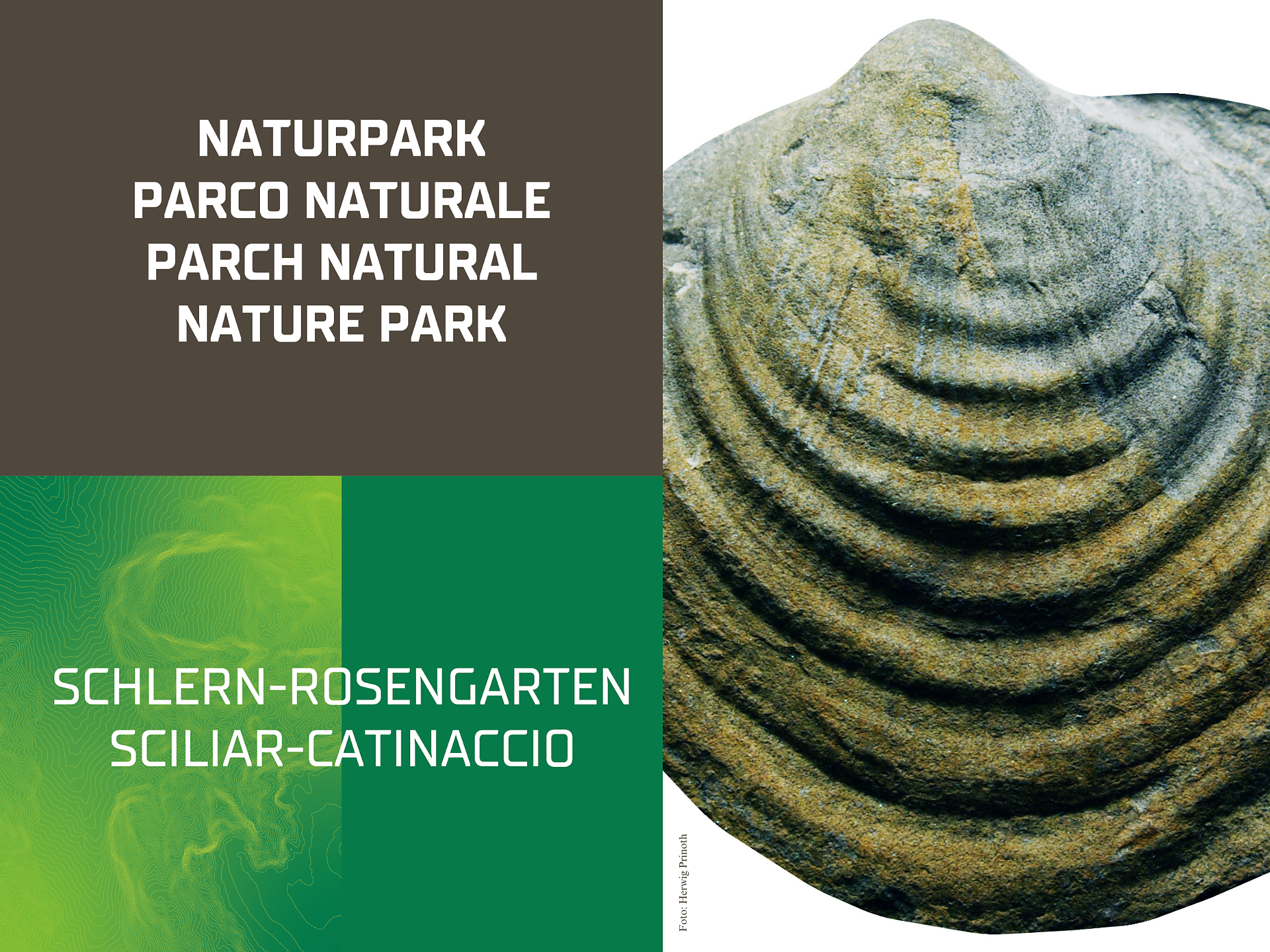 Countdown to mass extinction? - Dolomitenregion Seiser Alm - #1 - suedtirol.info