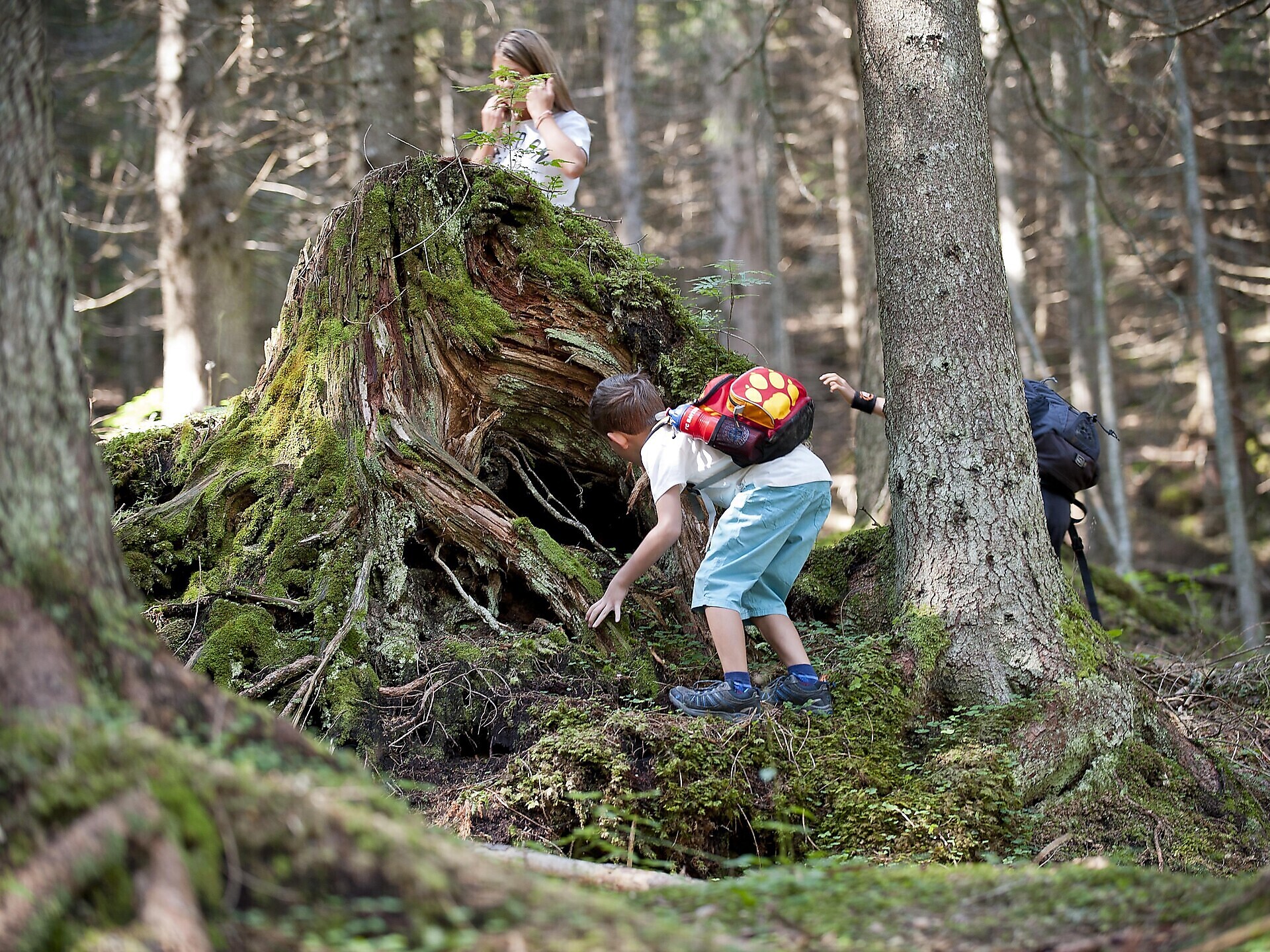 CleanUp Days - Mission Waldabenteuer - deine Familienchallenge im Eggental (IT) - Dolomitenregion Eggental - #1 - suedtirol.info