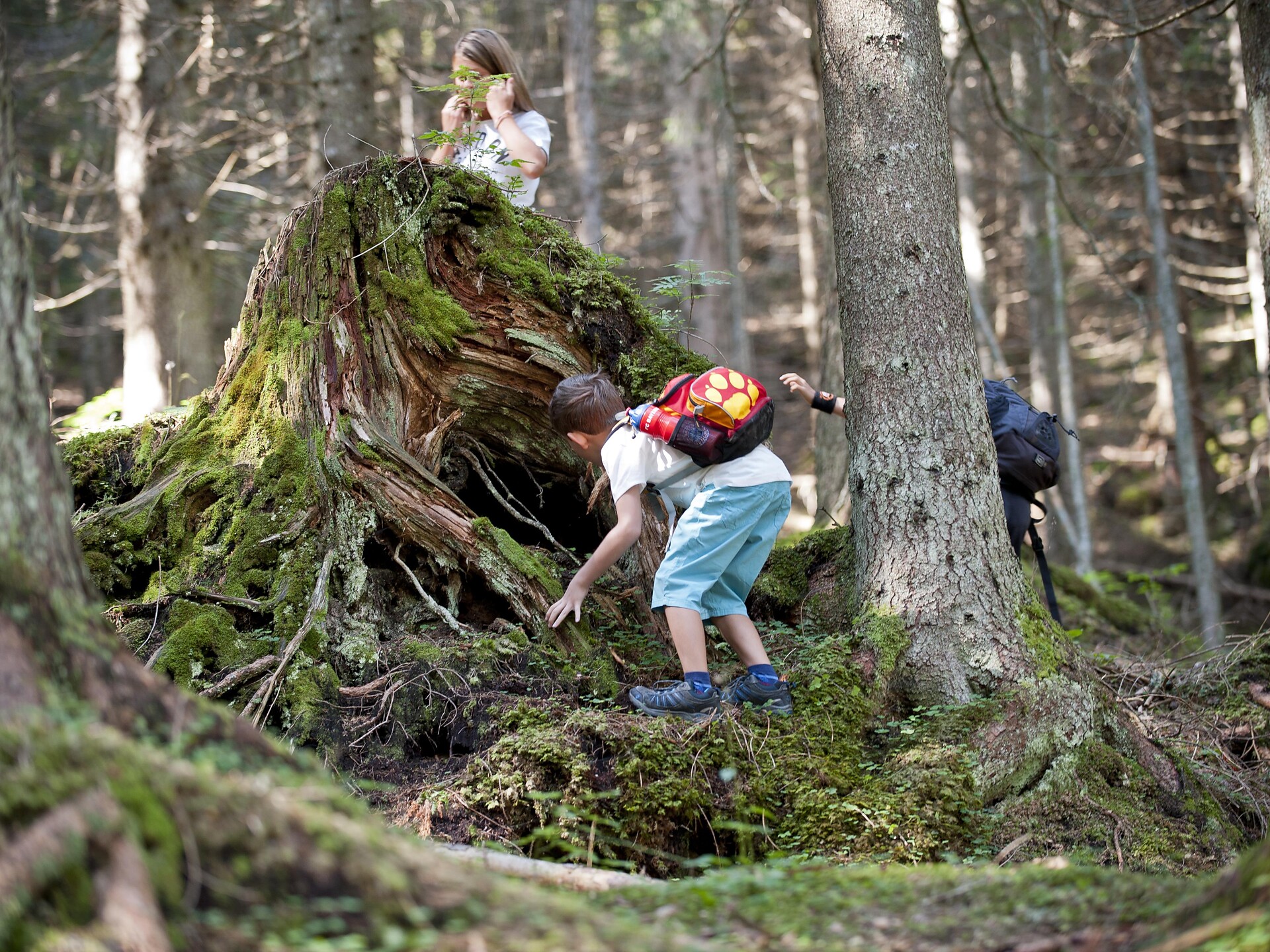 Carezza Kids - Adventure & Sport - Afternoon of games - Dolomites Region Eggental - #2 - suedtirol.info