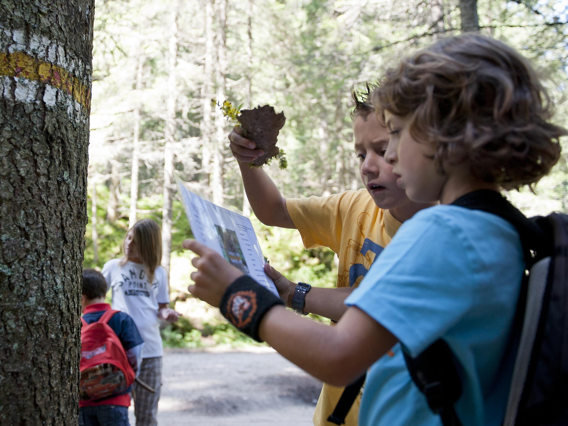 Carezza Kids - Adventure & Sport - Afternoon of games - Dolomites Region Eggental - #3 - suedtirol.info