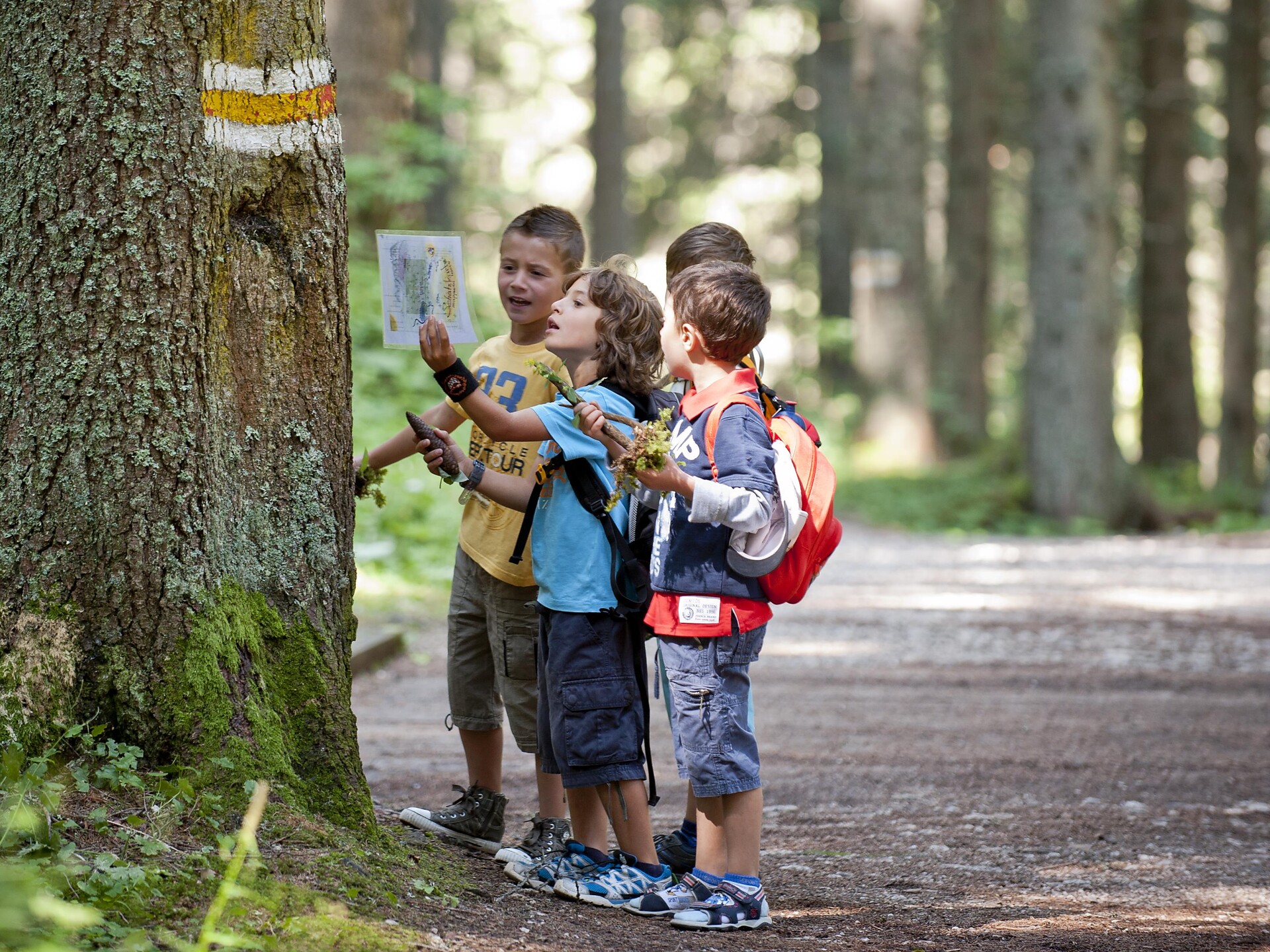 Carezza Kids - Adventure & Sport - Afternoon of games - Dolomites Region Eggental - #1 - suedtirol.info