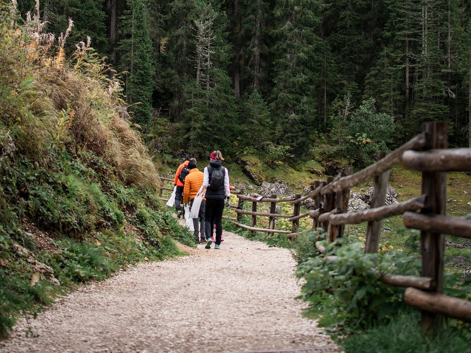 CleanUP Days – Community Hike con The Summit Foundation - Regione dolomitica Val d'Ega - #3 - suedtirol.info