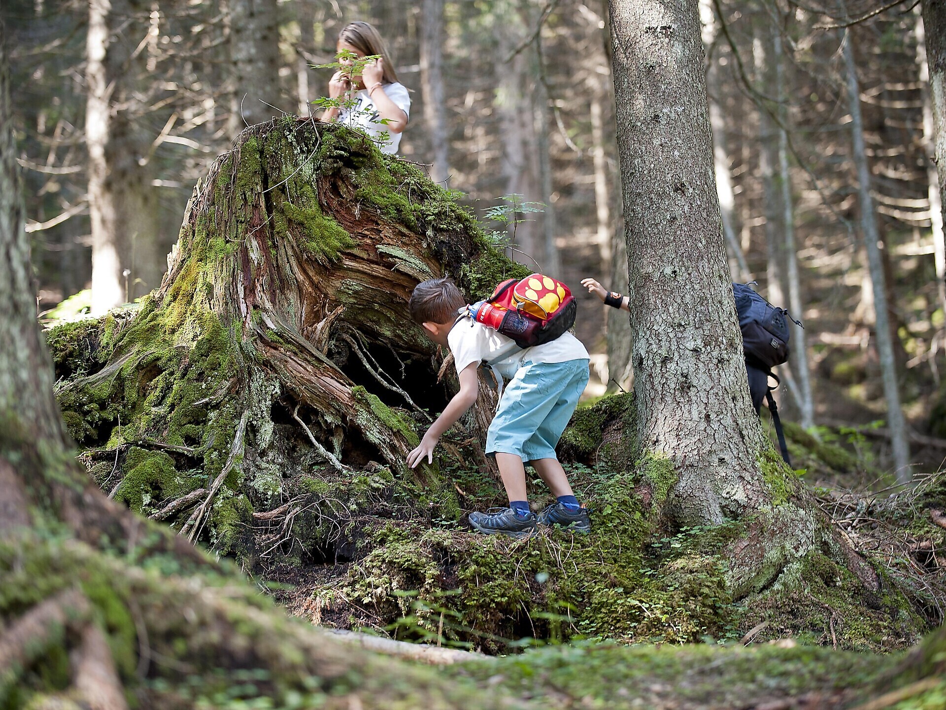 Carezza Kids - Adventure & Sport - Afternoon of games with MTB - Dolomites Region Eggental - #1 - suedtirol.info