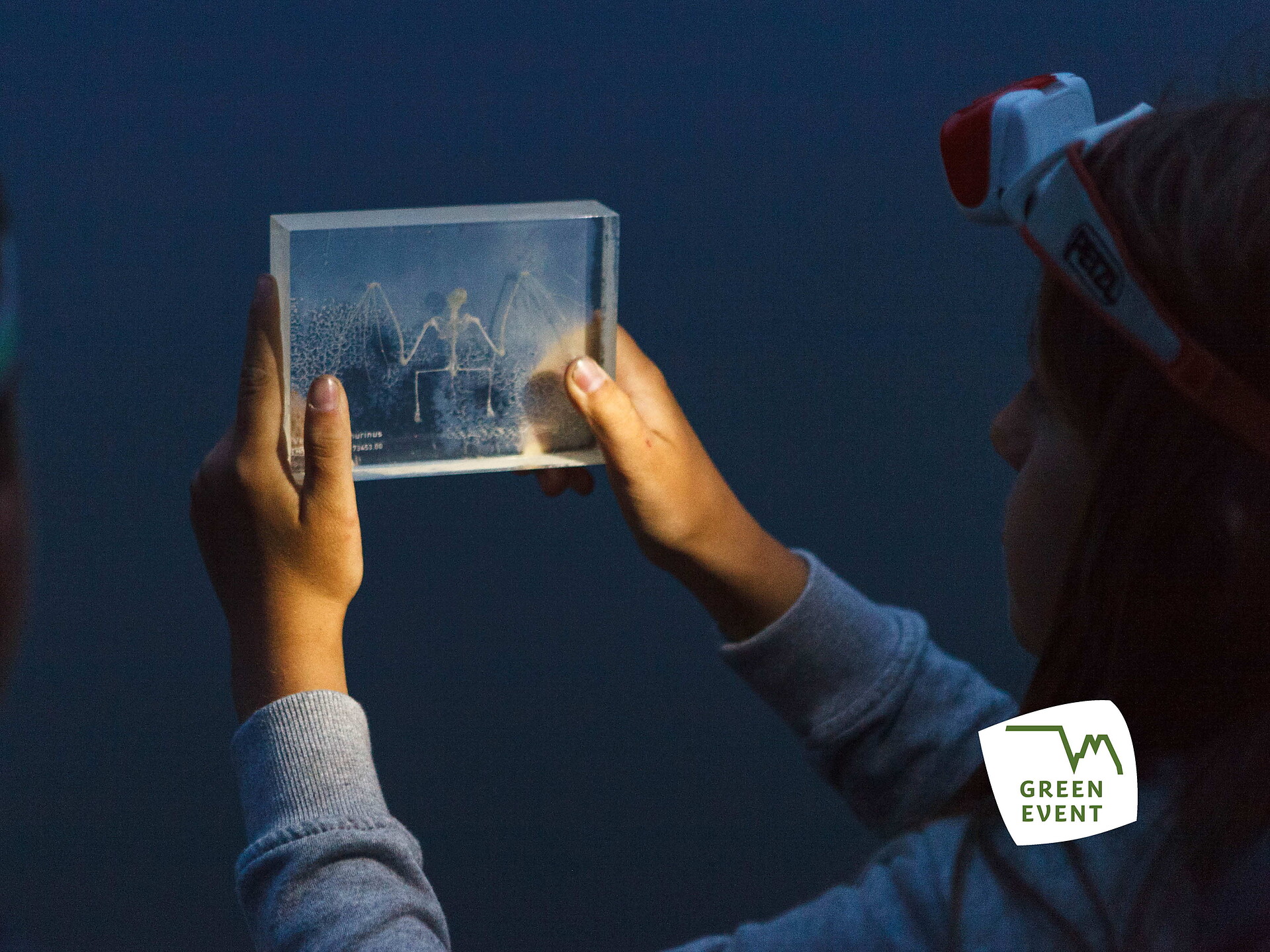 Dolomiti Ranger: Geheimnisvolle Wesen der Nacht - Dolomitenregion Seiser Alm - #1 - suedtirol.info