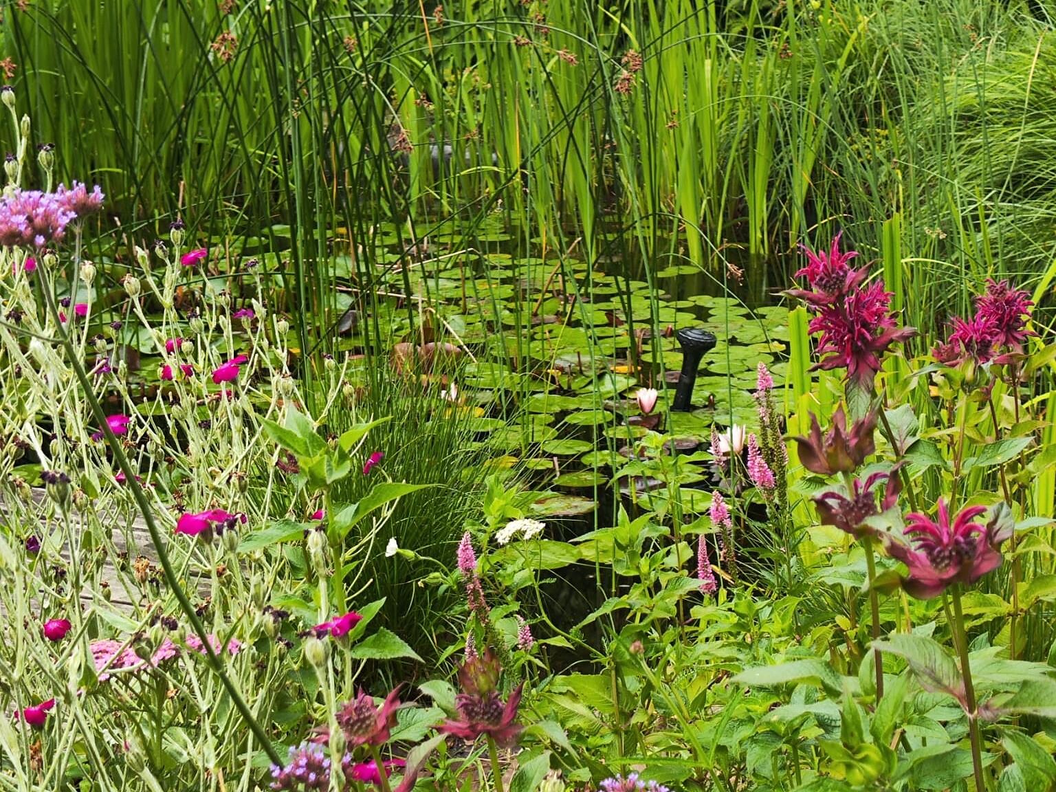 The Bindergitschgarden - The Garden of Andriano & Terlano 2026 - Alto Adige Wine Road - #1 - suedtirol.info