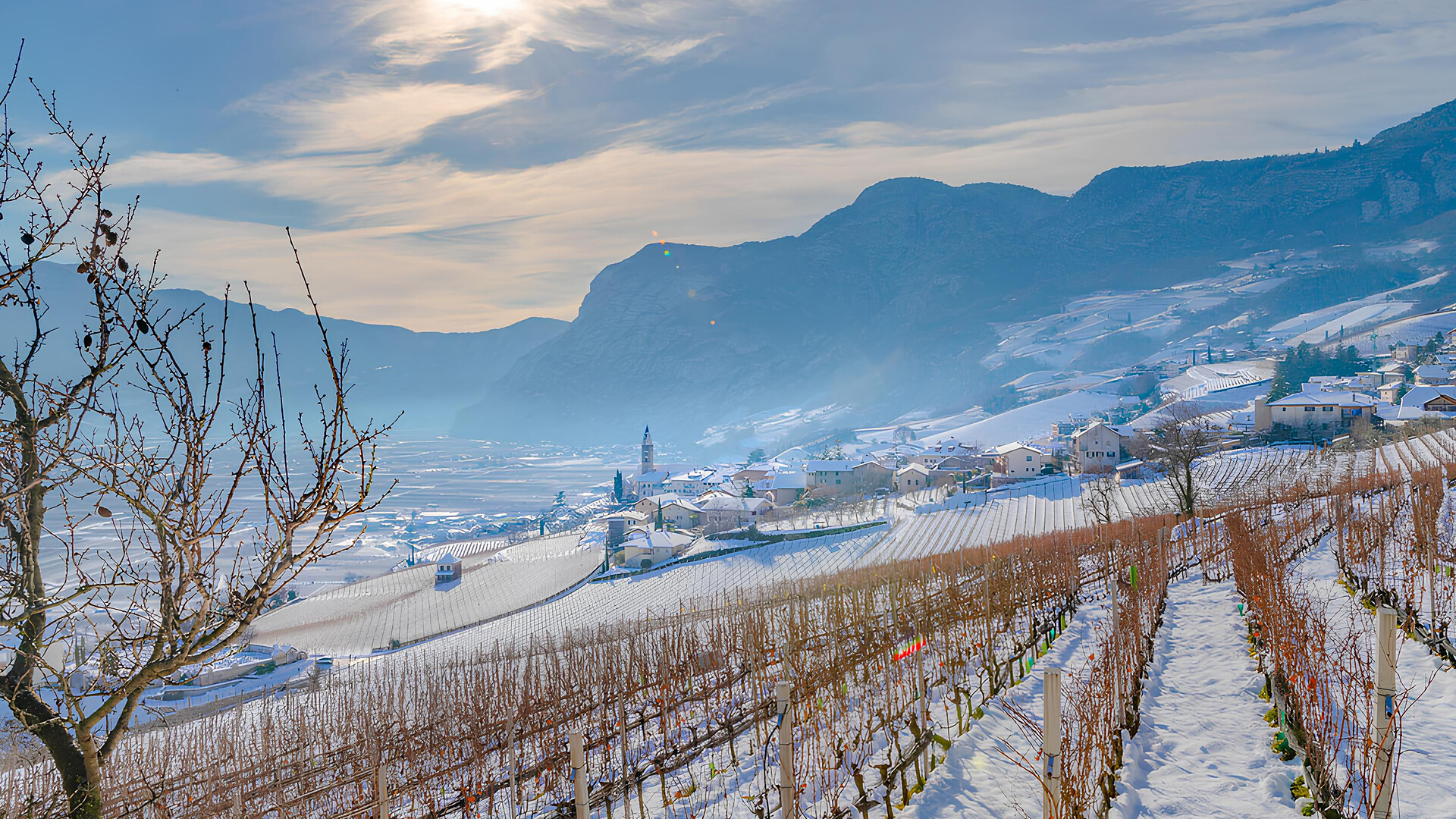 Your view. Your picture. Your moment. - Photo competition - Alto Adige Wine Road - #5 - suedtirol.info