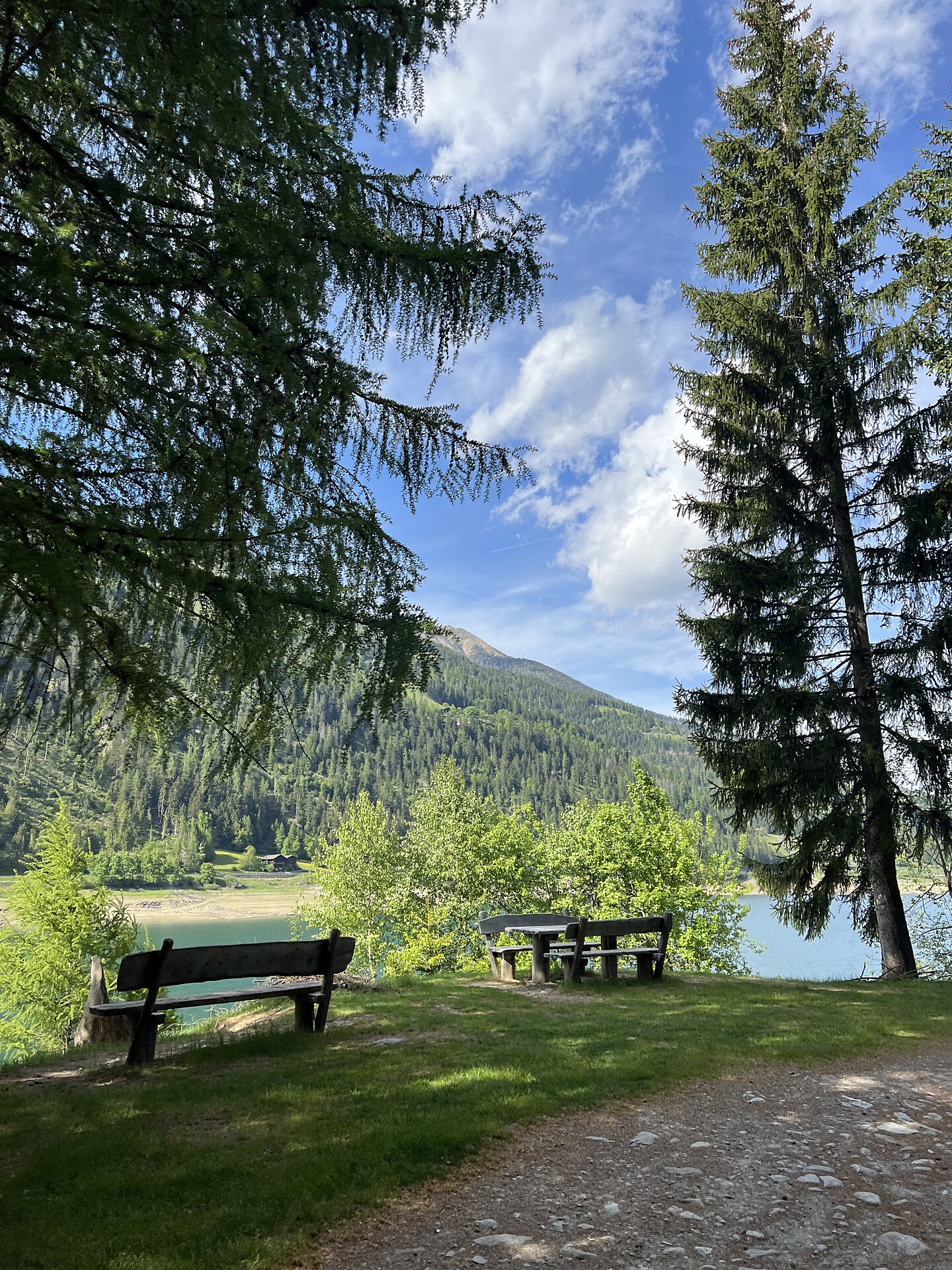 Der Bergwald: Heilwirkung & Kraftquelle - Meran und Umgebung - #2 - suedtirol.info