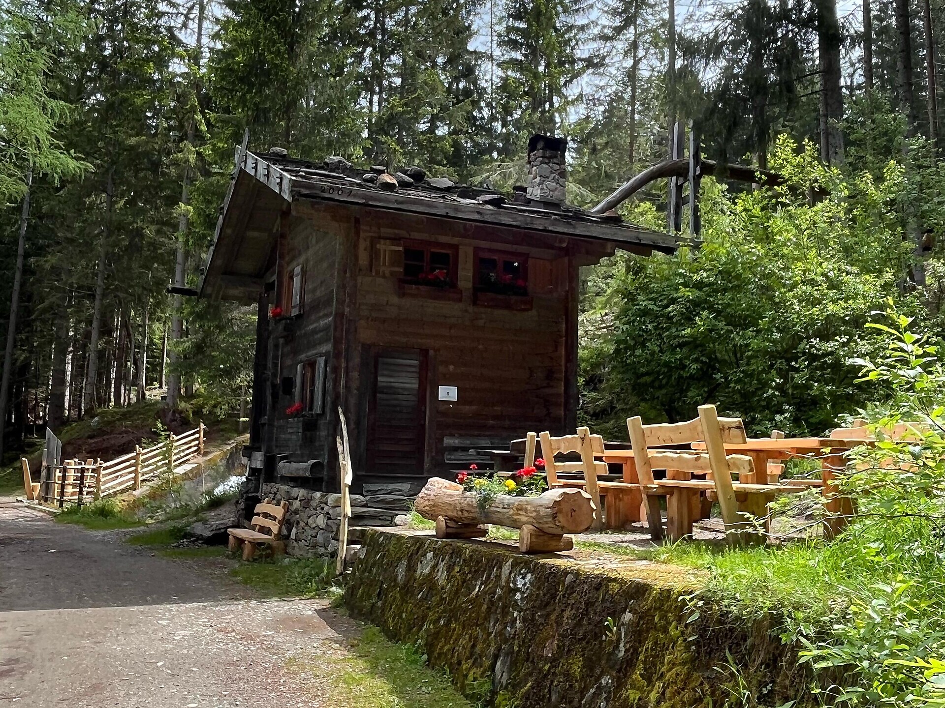 Der Bergwald: Heilwirkung & Kraftquelle - Meran und Umgebung - #1 - suedtirol.info