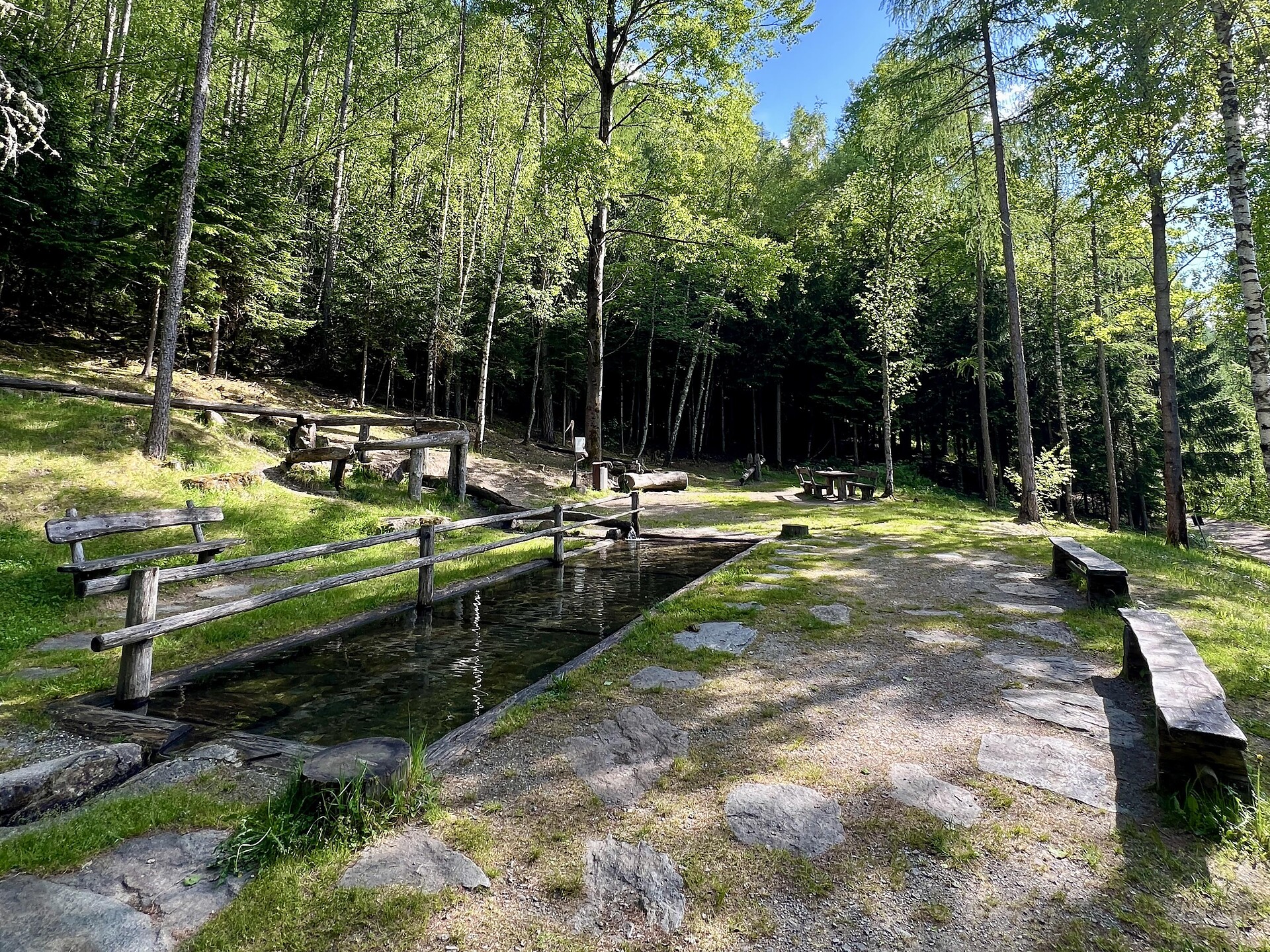 Il bosco: proprietà curative e fonte di energia - Merano e dintorni - #1 - suedtirol.info
