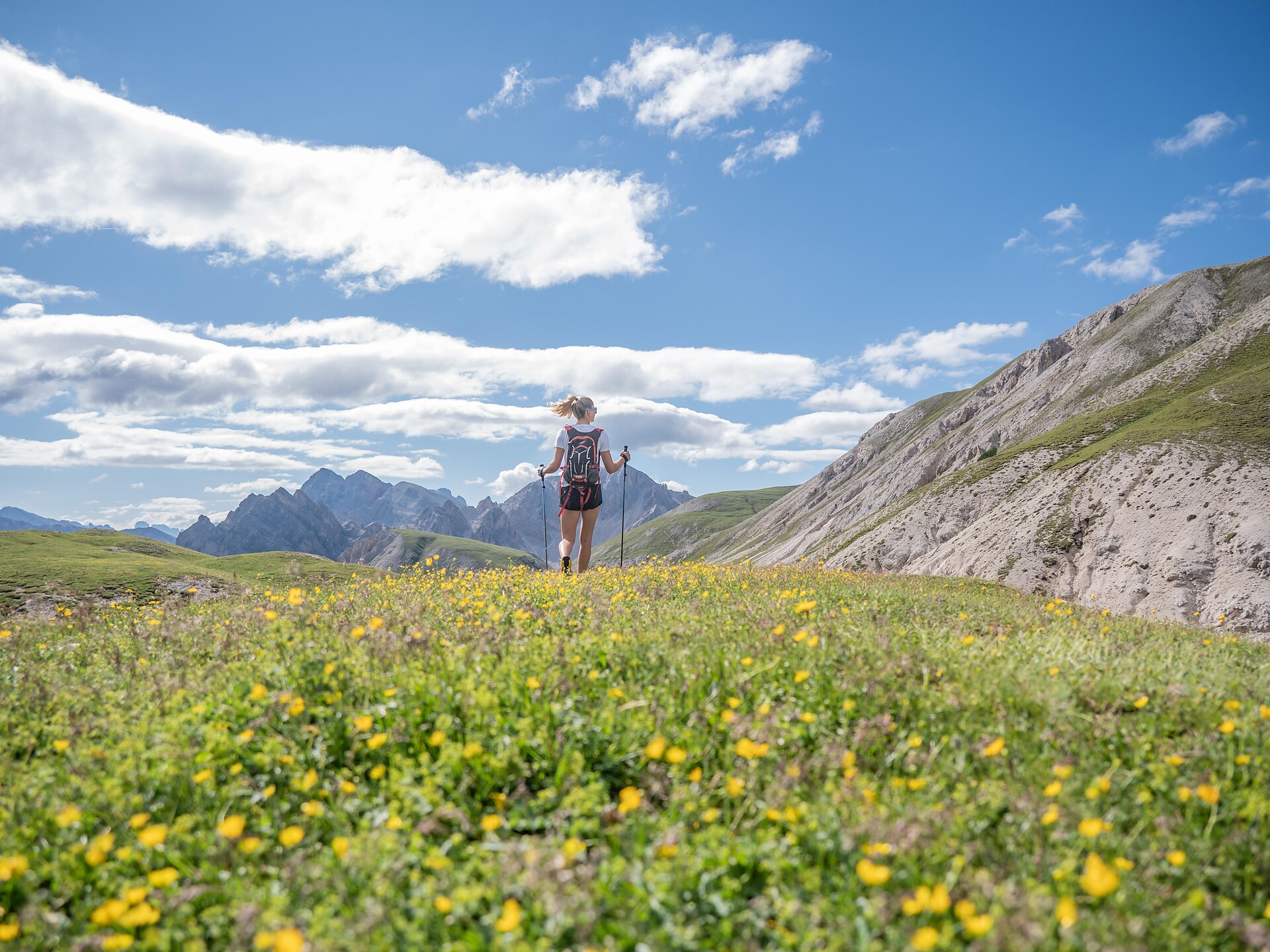Die Dolomiten im Blick (anspruchsvoll) - Dolomitenregion Kronplatz - #1 - suedtirol.info