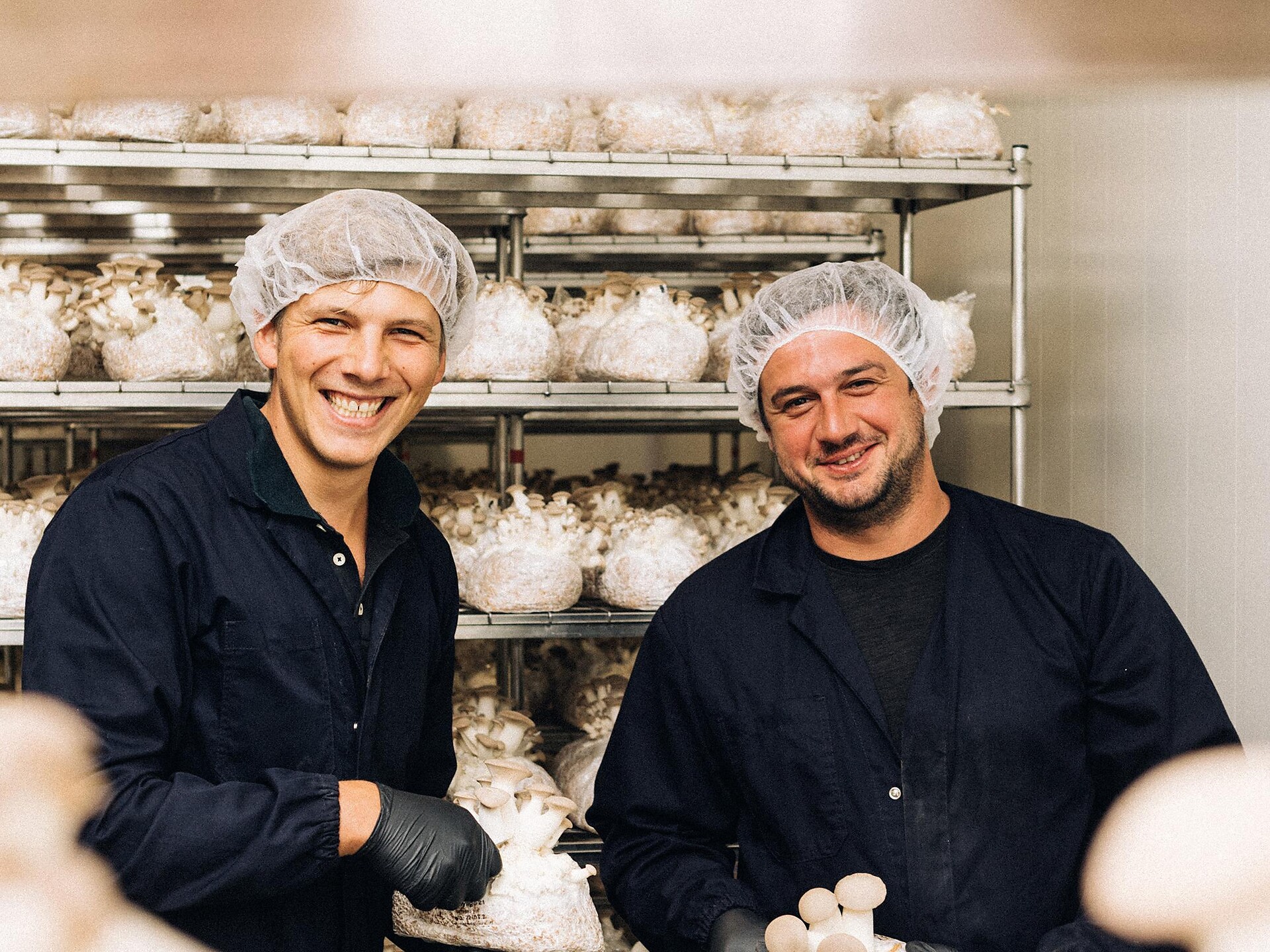 L'arte di coltivare funghi nobili - visita guidata con degustazione di funghi Nova Ponente 1 suedtirol.info