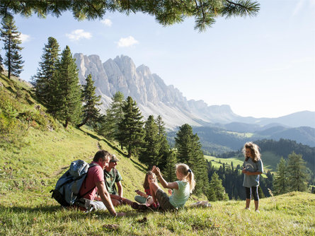 Dolomiti Ranger - Discover the kingdom of the flora and fauna of the Dolomites Villnöss/Funes 1 suedtirol.info