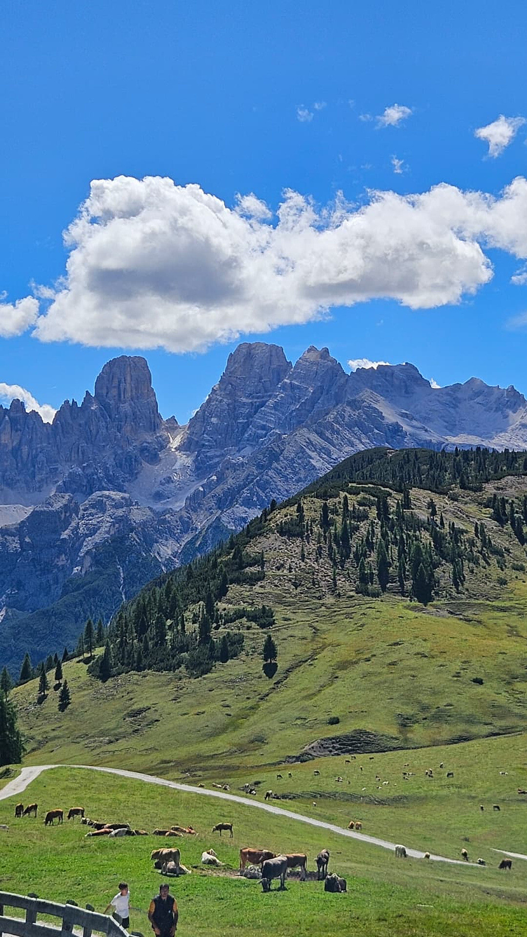 Dolomiti Highlight Tour in E-Bike: dalla Val Casies all’altopiano Prato Piazza -  - #4 - suedtirol.info