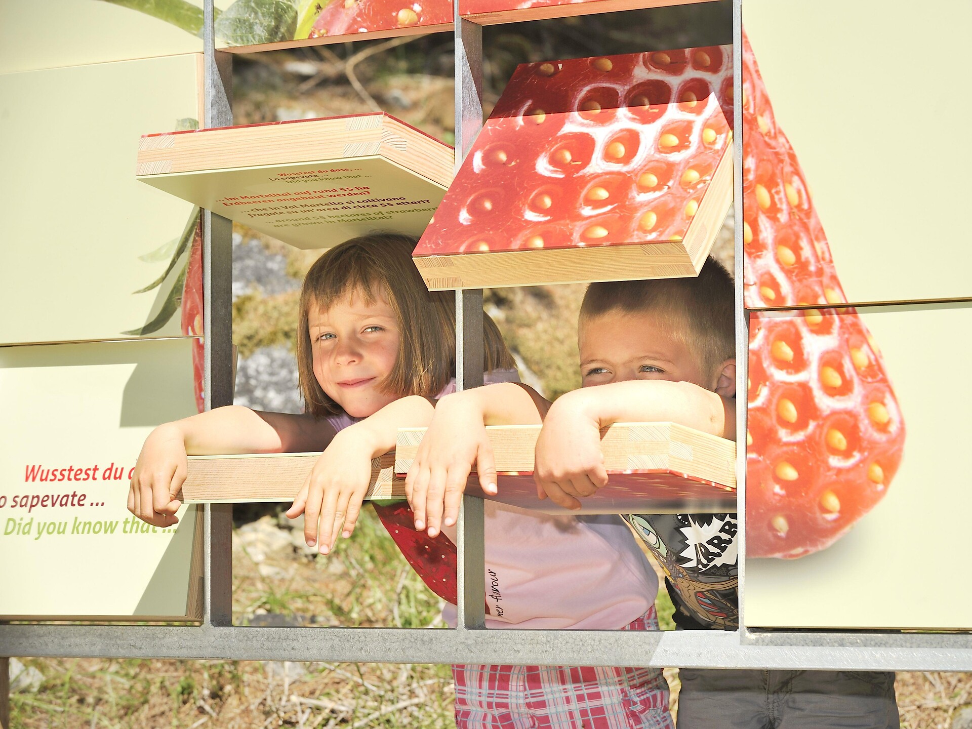 Alla scoperta dei sapori - escursione guidata lungo il Sentiero delle fragole - Val Venosta - #3 - suedtirol.info