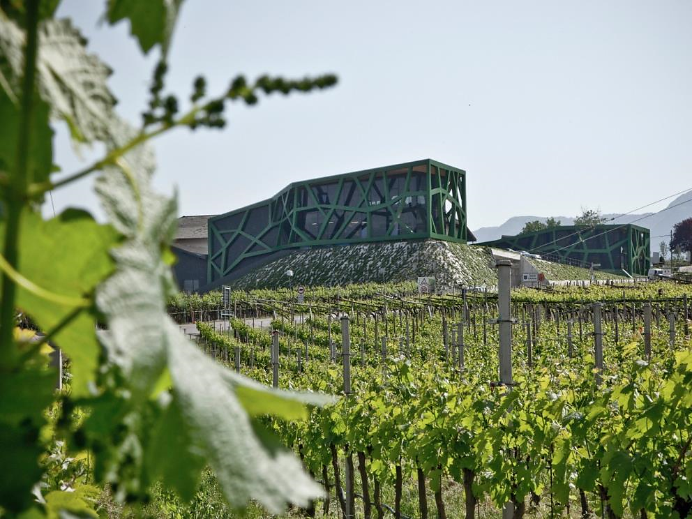 I classici di cantina Tramin - Strada del Vino - #2 - suedtirol.info