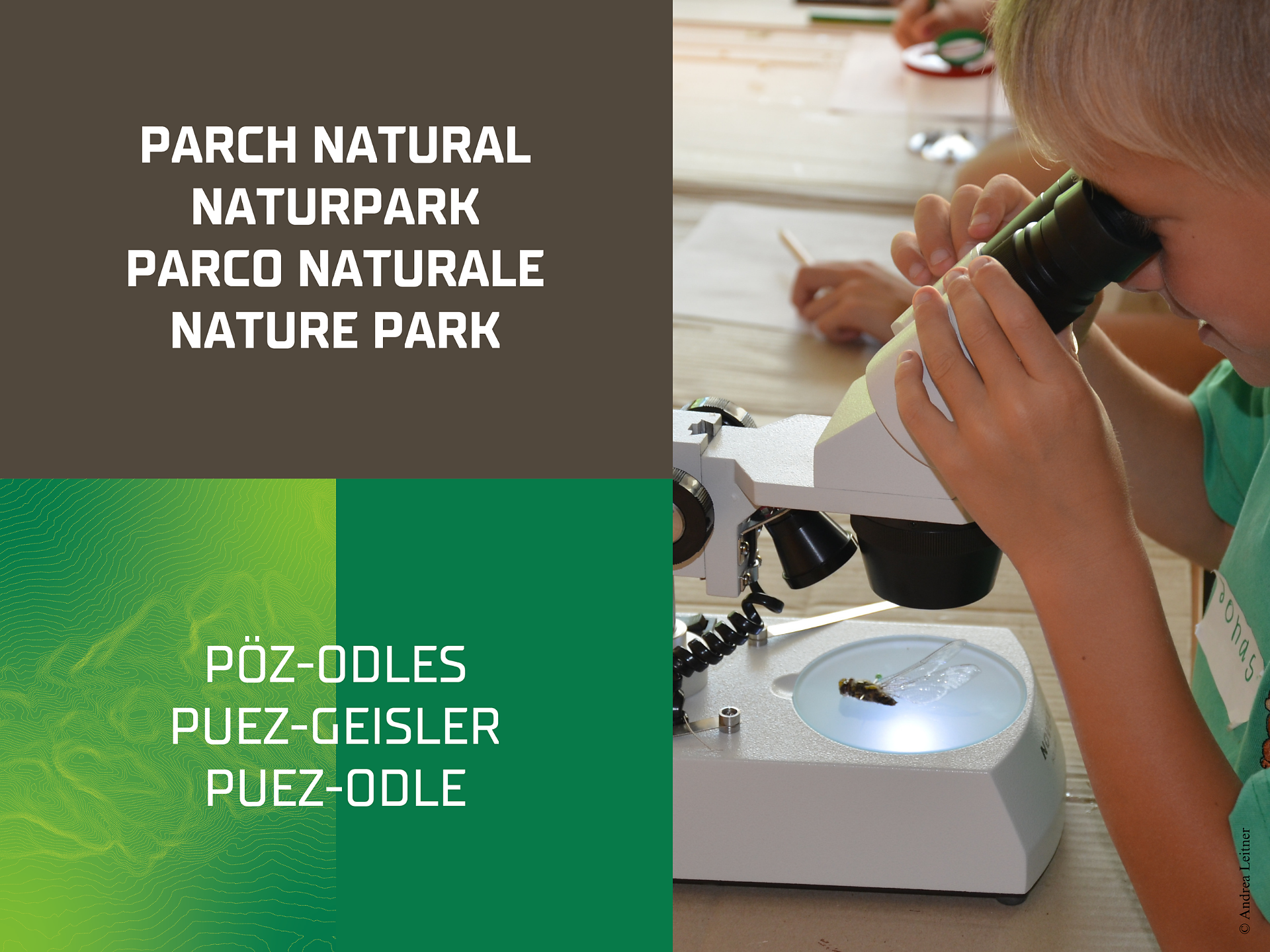 Daksys Kreativwerkstatt - Dolomitenregion Lüsen Villnöss - #1 - suedtirol.info