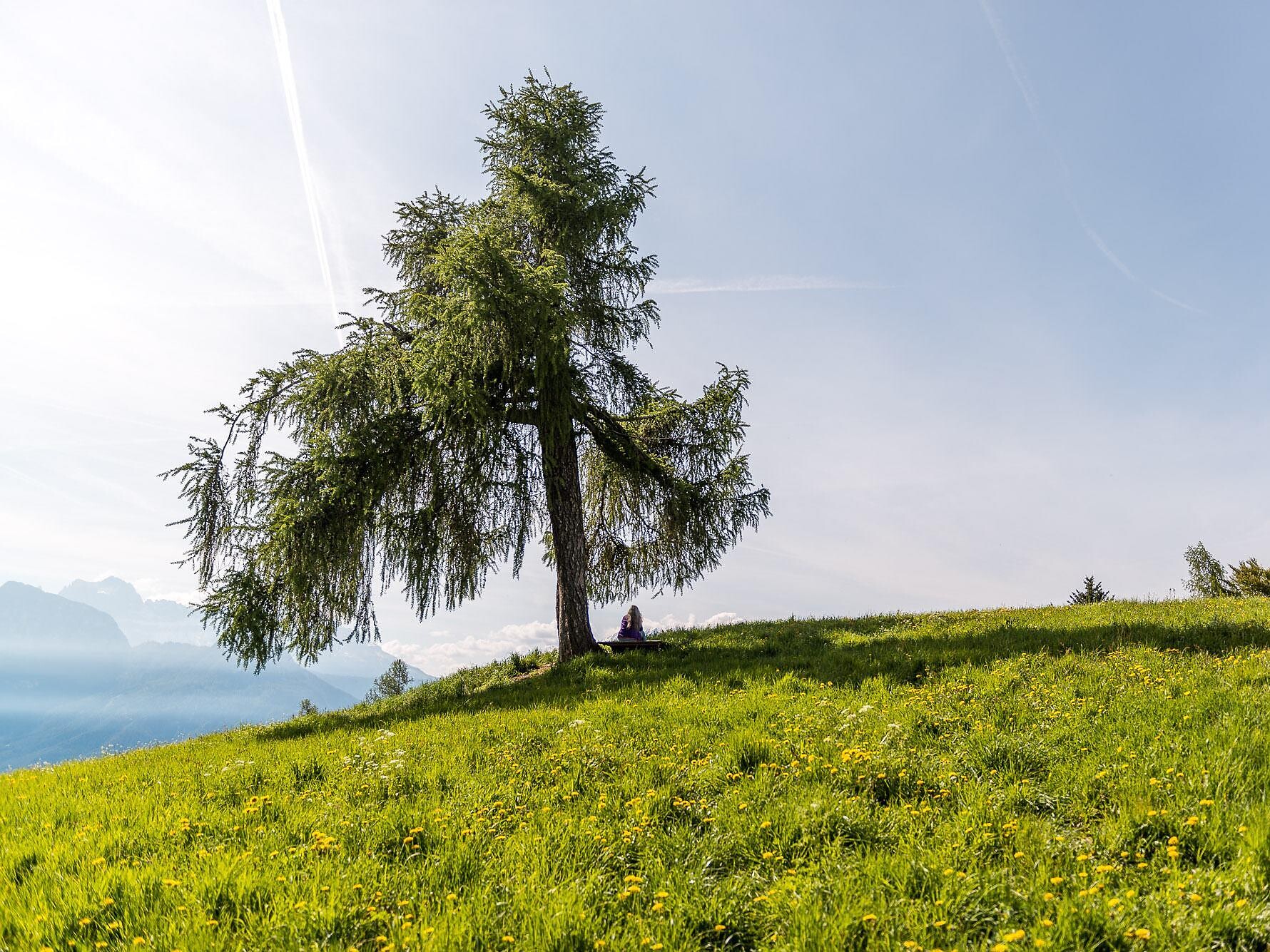 Aufblühen am Sonnenplateau - die Kraft der Natur, die Kraft des Wassers Ritten 1 suedtirol.info