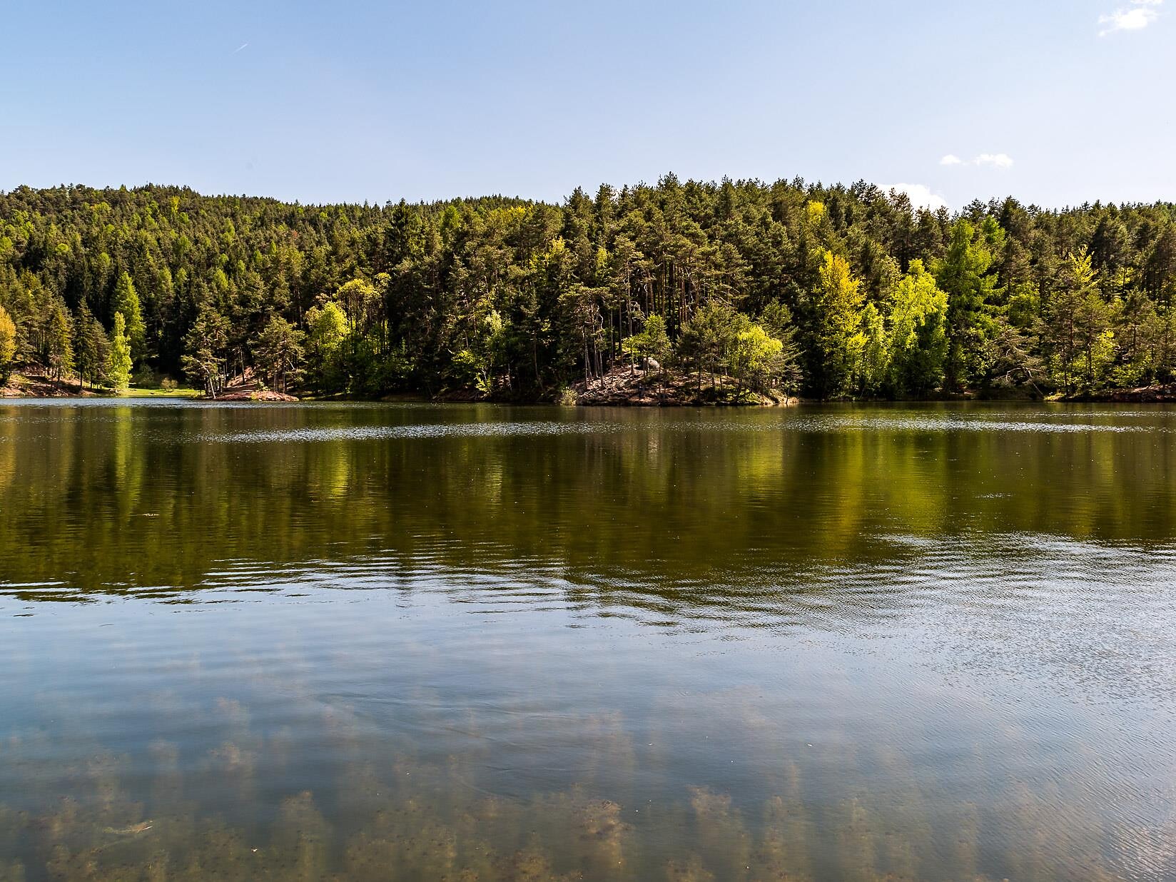 Aufblühen am Sonnenplateau - die Kraft der Natur, die Kraft des Wassers Ritten 2 suedtirol.info