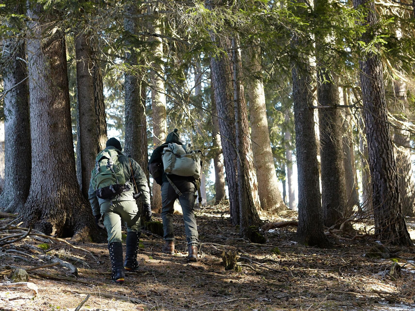 Die Brunft des Rothirsches (Ultental) - Morgenwanderung mit Alm-Frühstück - Meran und Umgebung - #2 - suedtirol.info