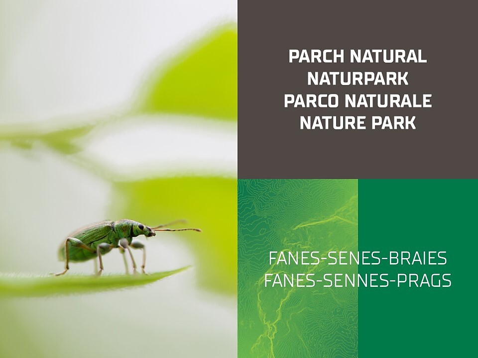 The Nature Parks in Val Badia | Lectures - Dolomites Region Kronplatz/Plan de Corones - #1 - suedtirol.info