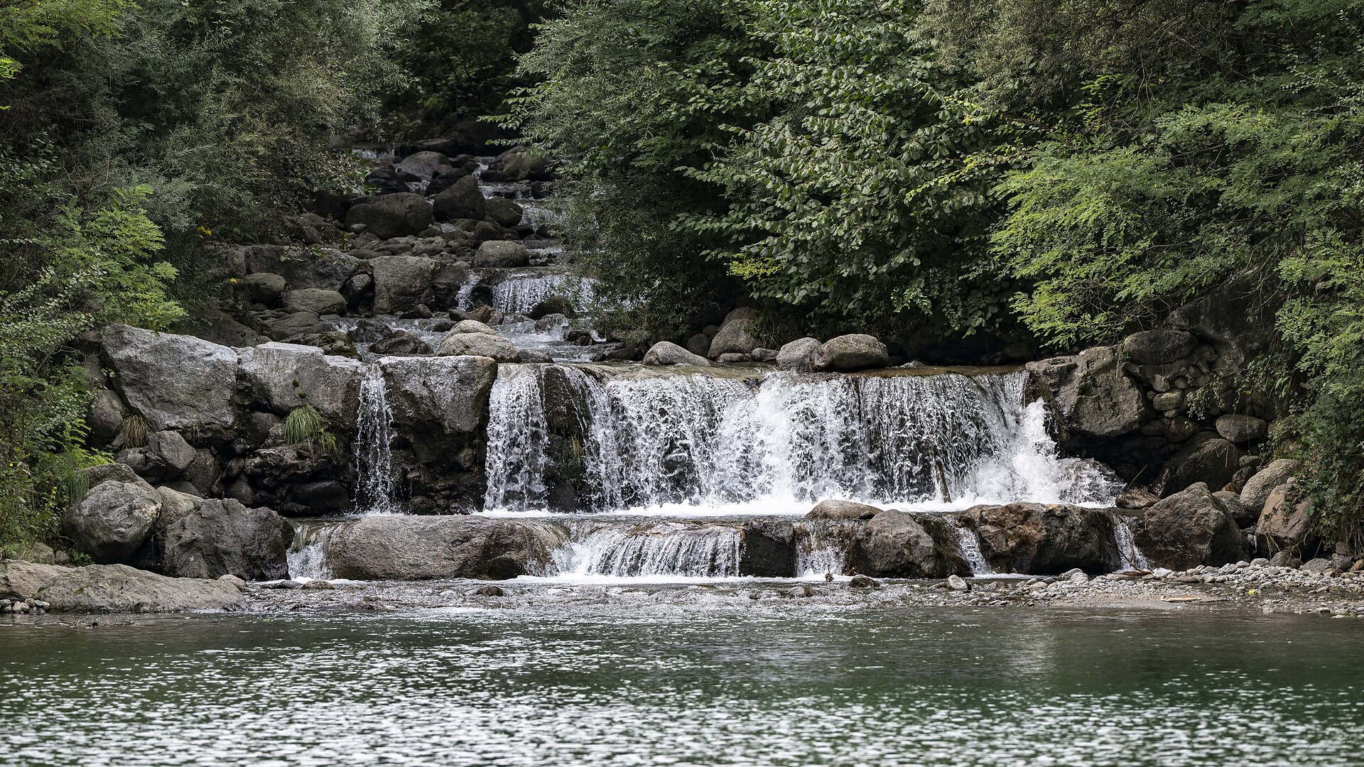 Il mattino ha l’oro in bocca… – escursione naturalistica alla scoperta degli ucc - Merano e dintorni - #1 - suedtirol.info