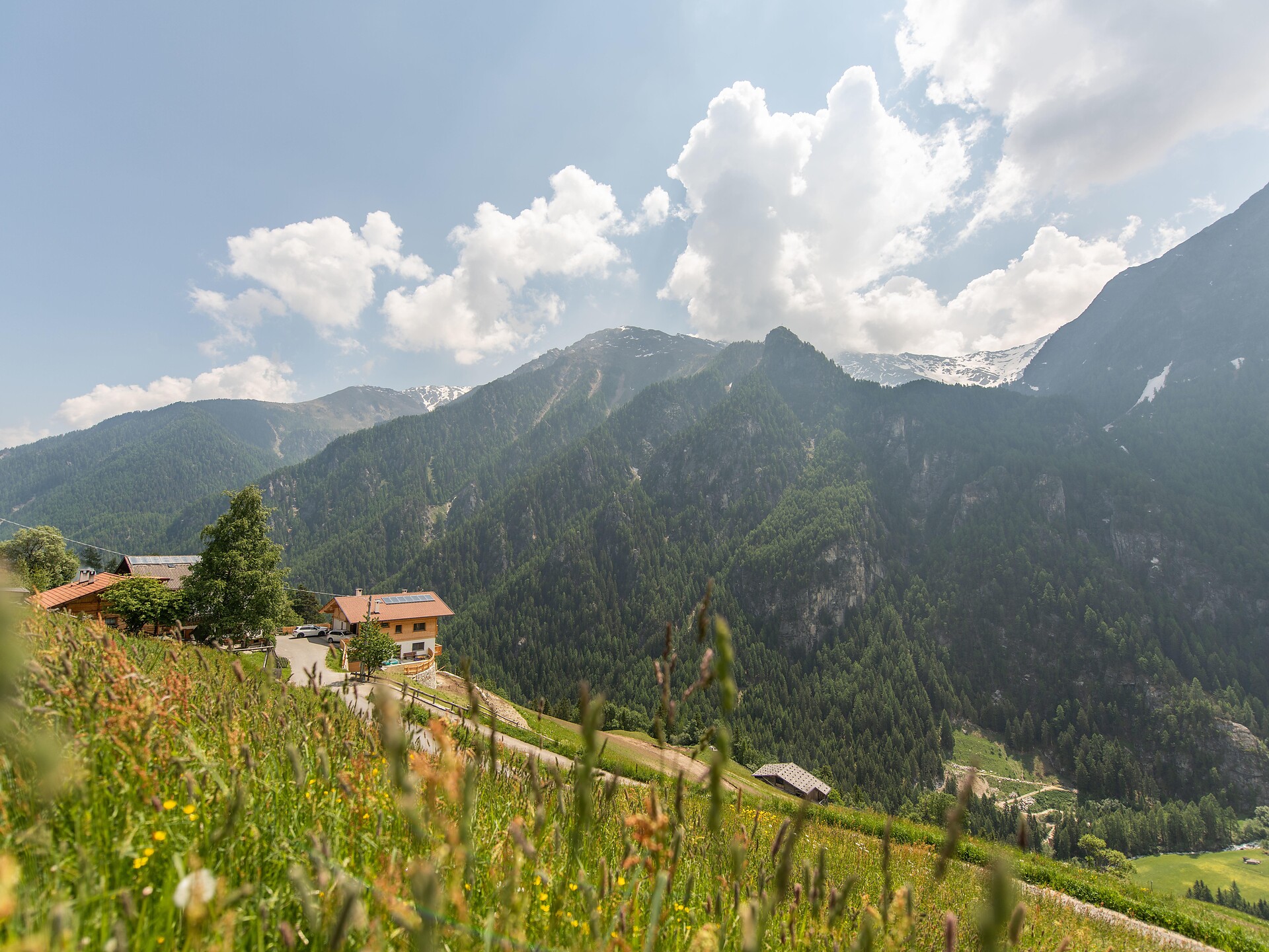 Das Leben auf dem Bergbauernhof - Hofführung Niederhof - Vinschgau - #1 - suedtirol.info