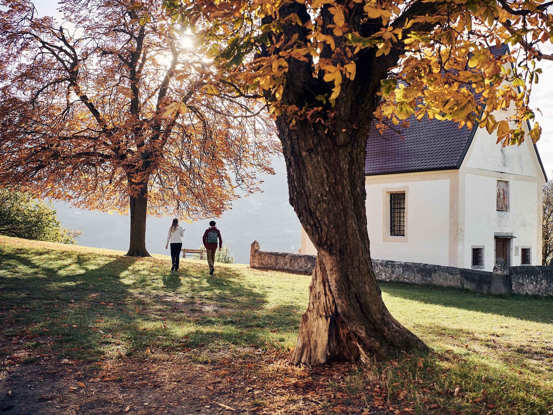 Alla scoperta del “Keschtnweg” – il Sentiero del Castagno - Bressanone e dintorni - #1 - suedtirol.info