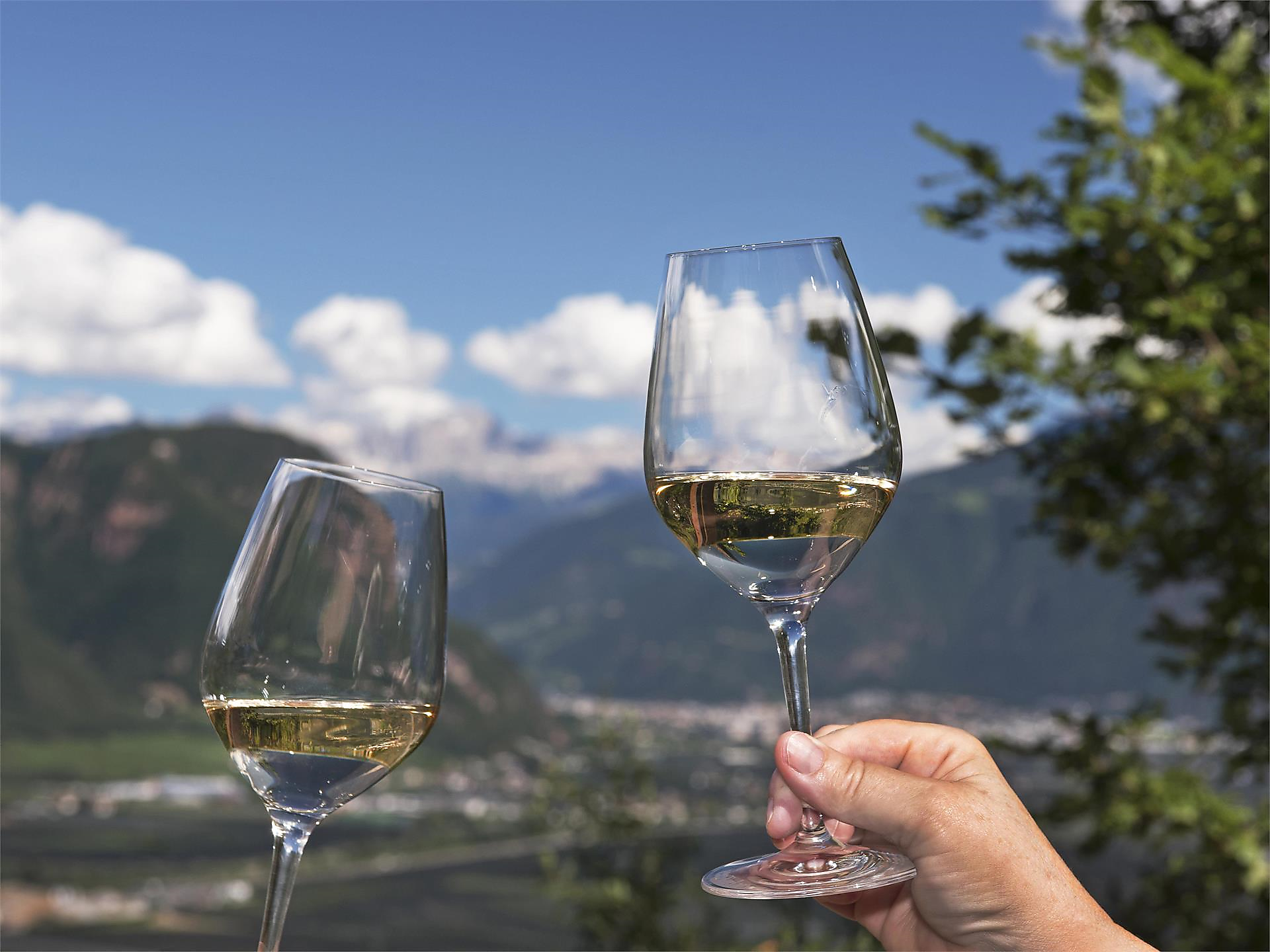 Tra vigneti e cantine: il tour del vino di Andriano - Strada del Vino - #1 - suedtirol.info