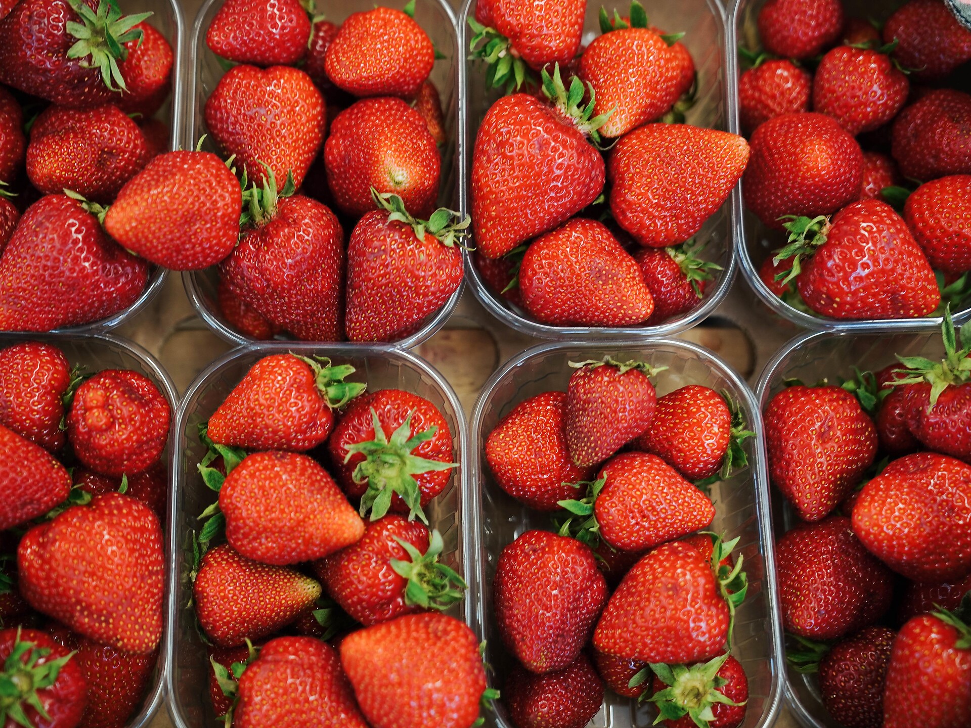 Die Vielfalt der Erdbeere - Erdbeersortenverkostung im Martelltal - Vinschgau - #1 - suedtirol.info